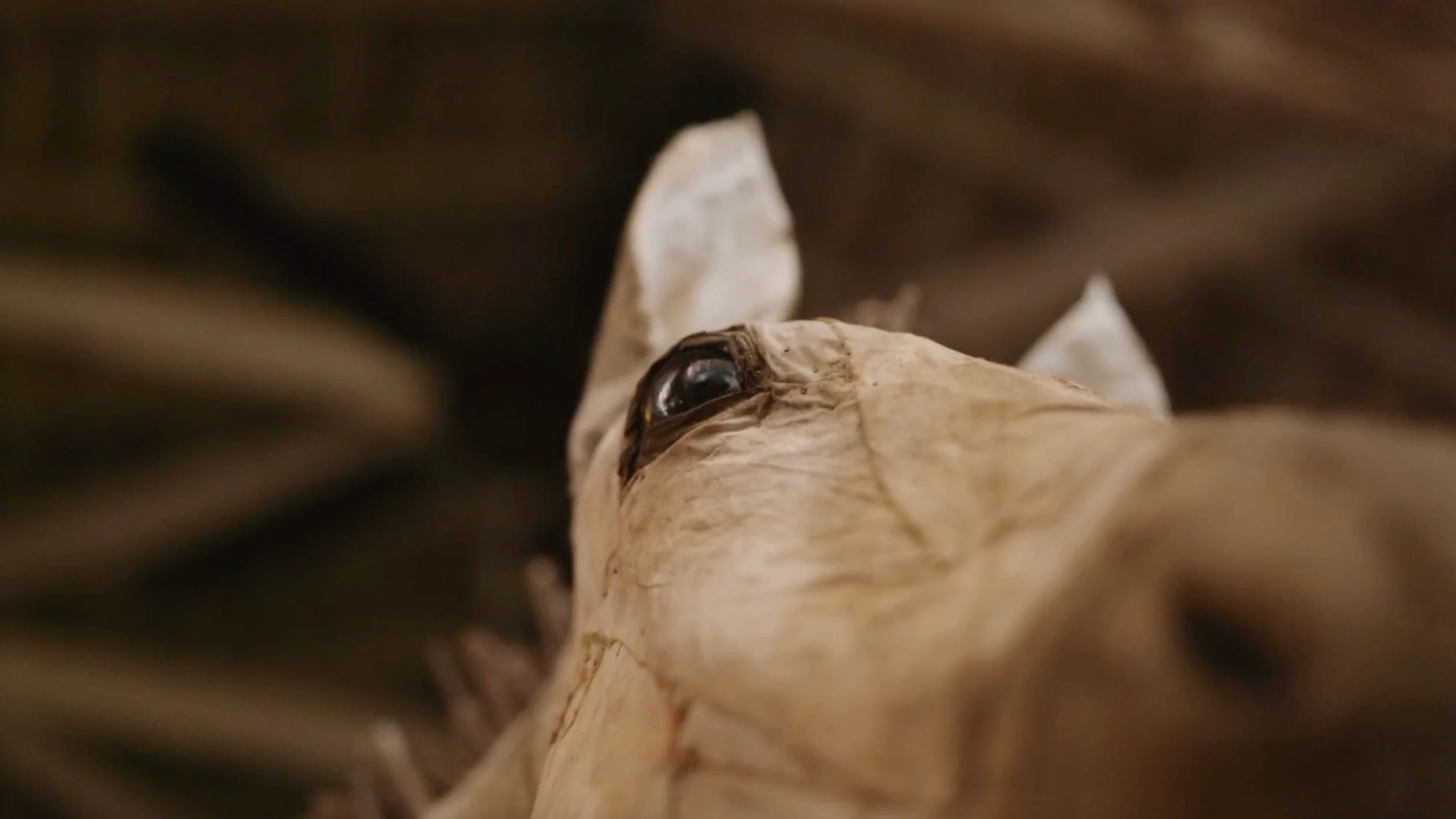 Commodity: Gin Stone Installation & Artist Talk