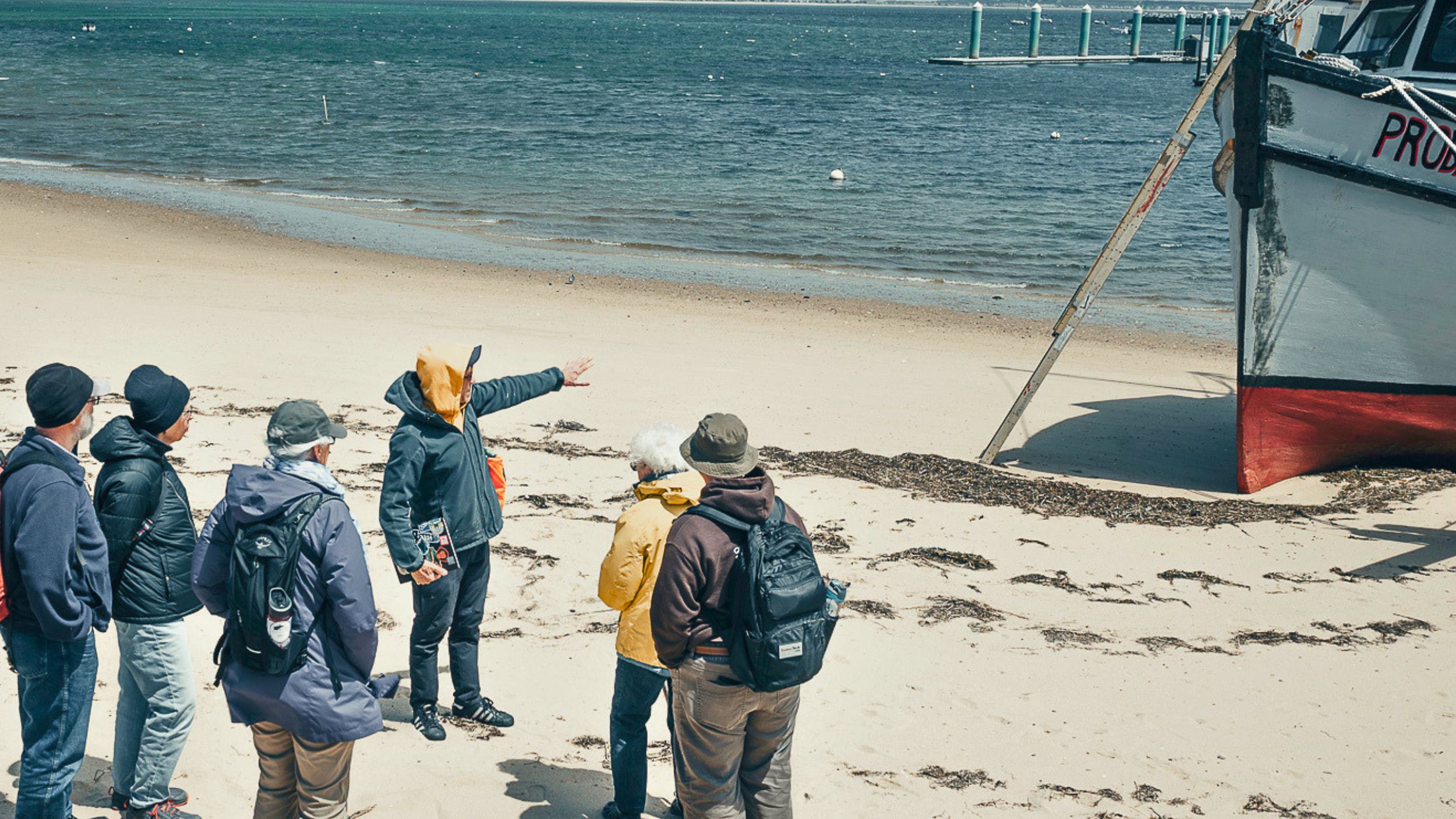 Ecosystems &amp; Imagination | Provincetown Harbor Walk with Mark Adams