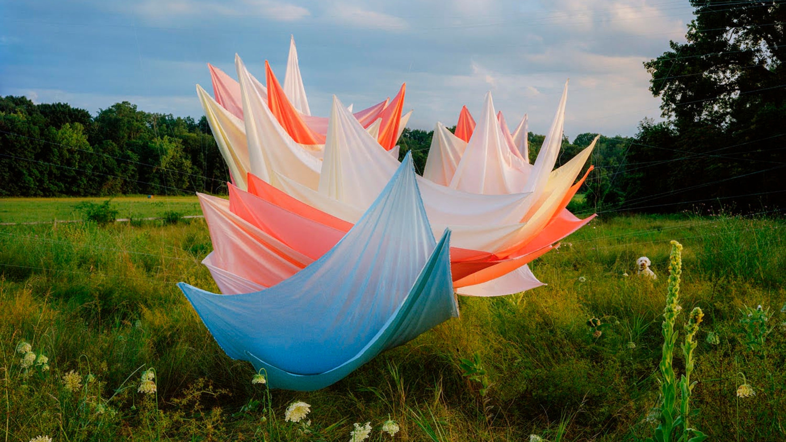 Material World | Thomas Jackson Barn Installation