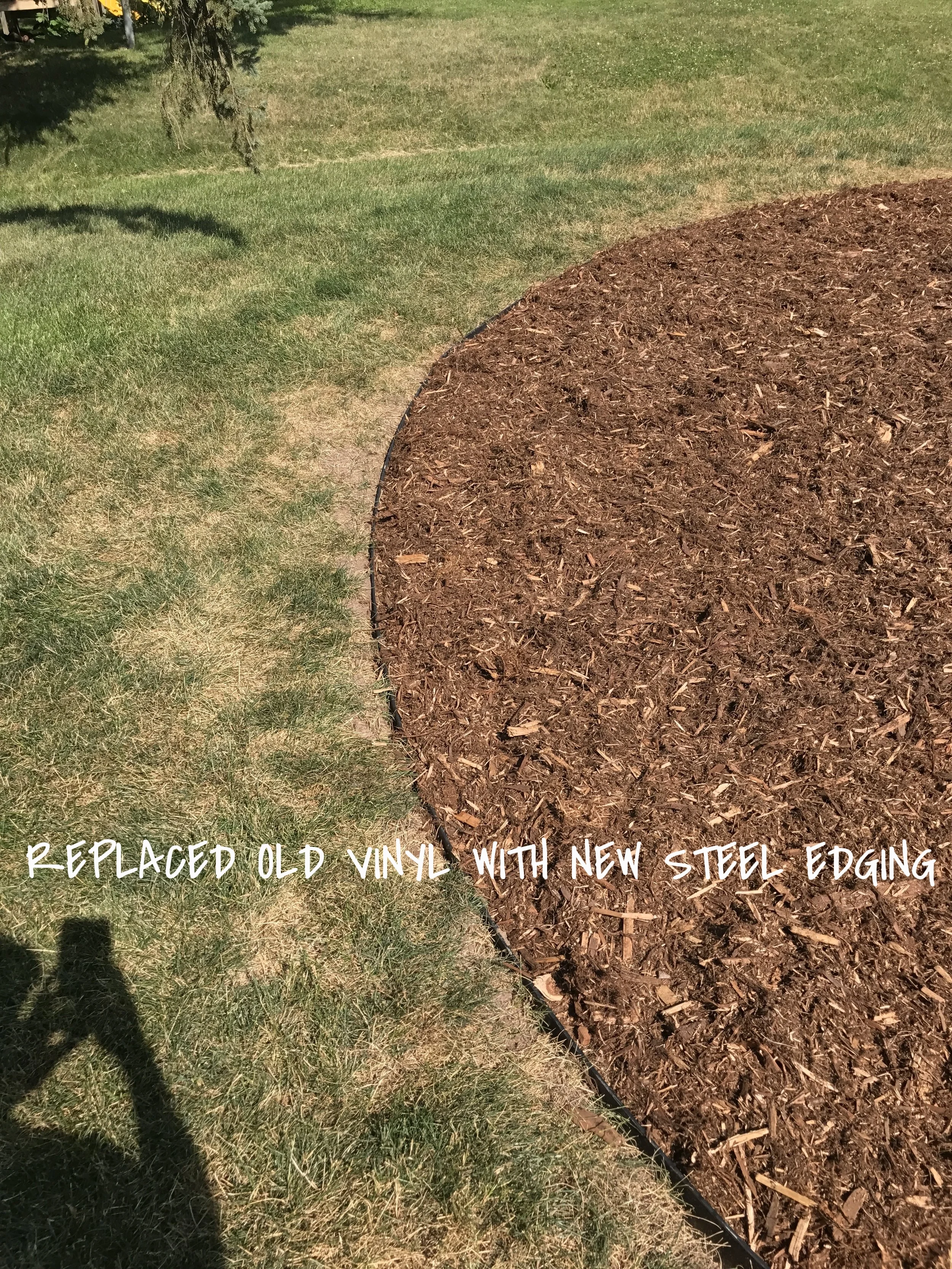 71883B9C-1543-40BC-BFA1-C5F9833EE981.jpeg