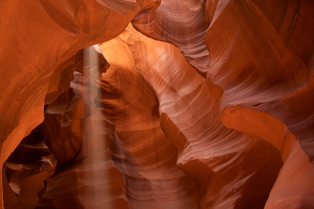 usa_raw-220WEB.jpg