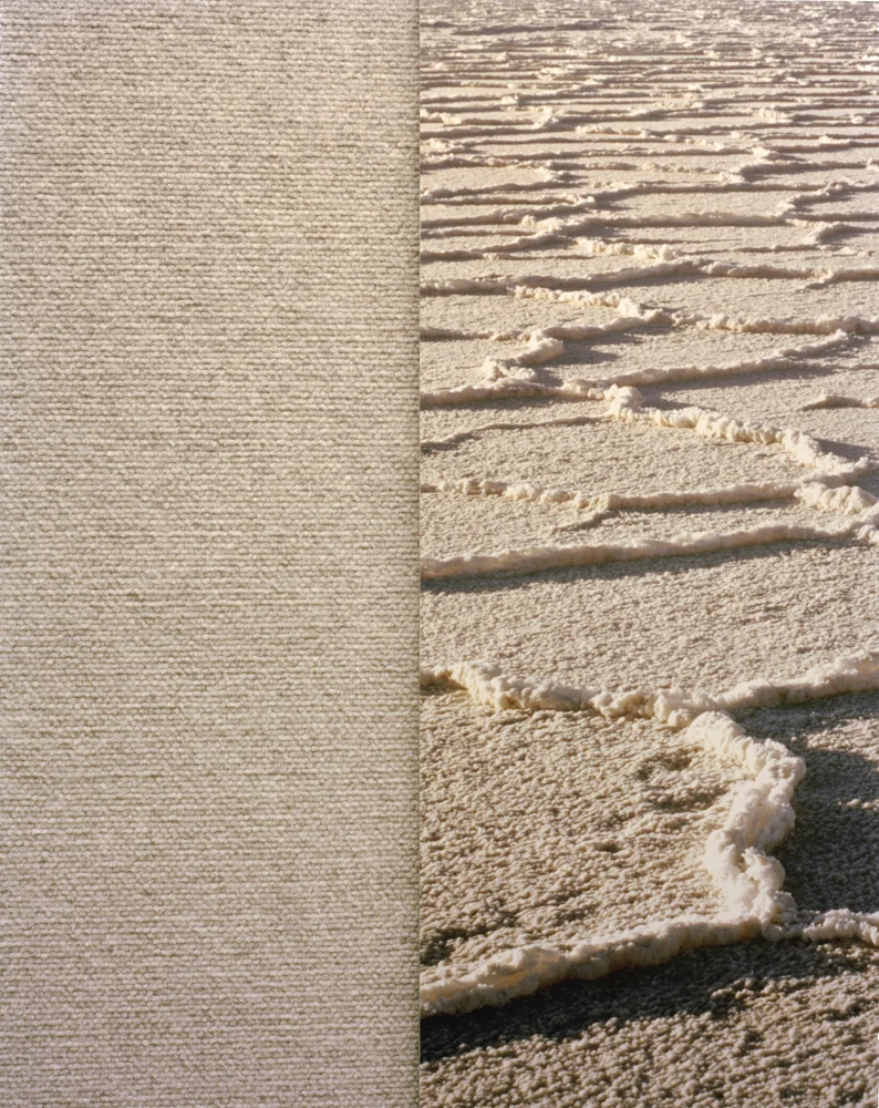 Salt Carpet , 2010 Archival pigment print 34 x 27 inches ————