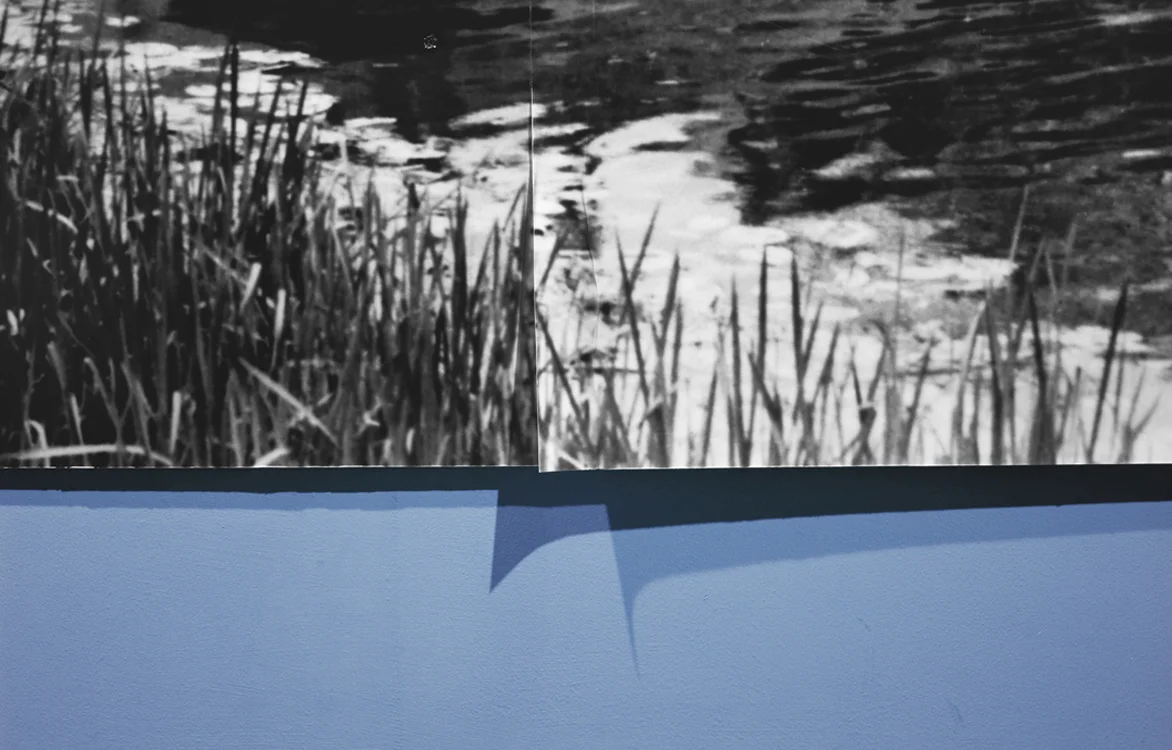 Riverbank , 2010 Archival pigment print 27 x 42 inches ————