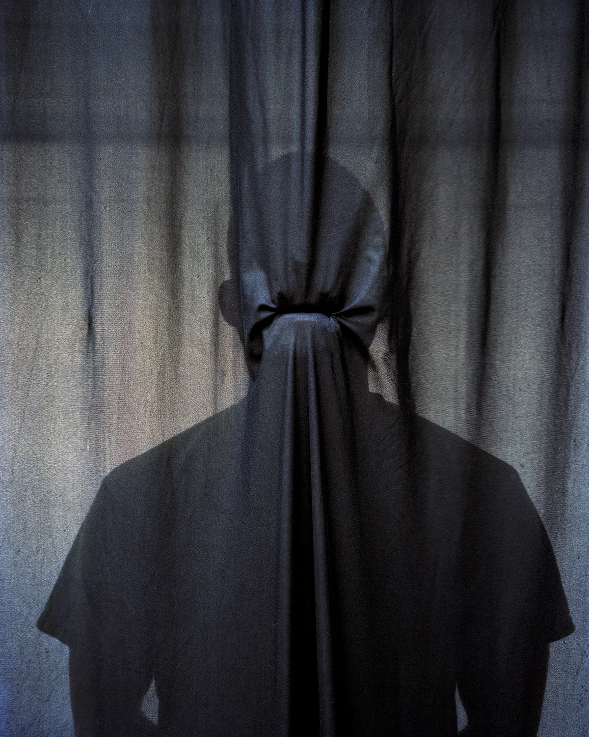 Swallow , 2013 Archival pigment print 50 x 40 inches ————