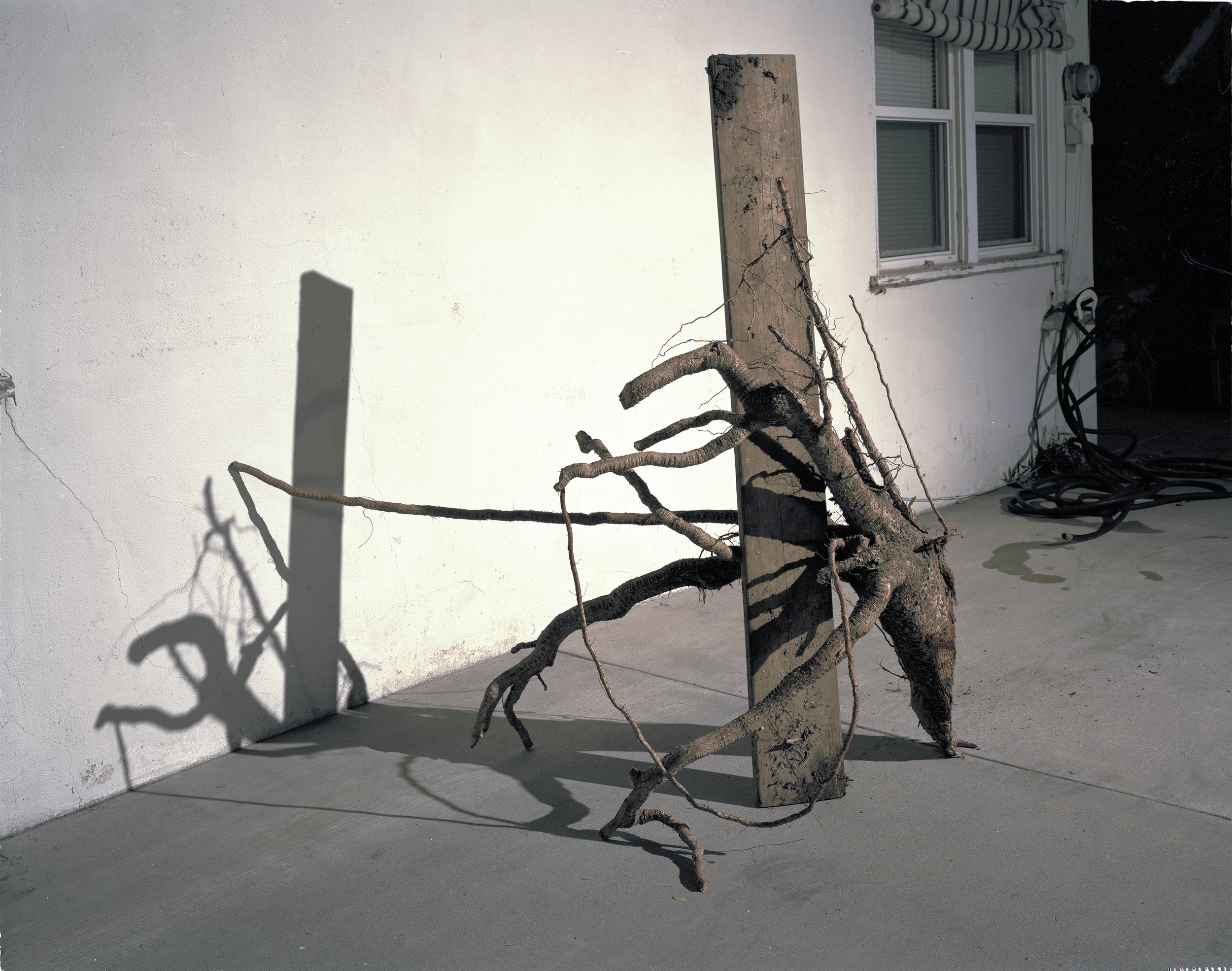   Crutch , 2012 Archival pigment print 40 x 50 inches   ———— 