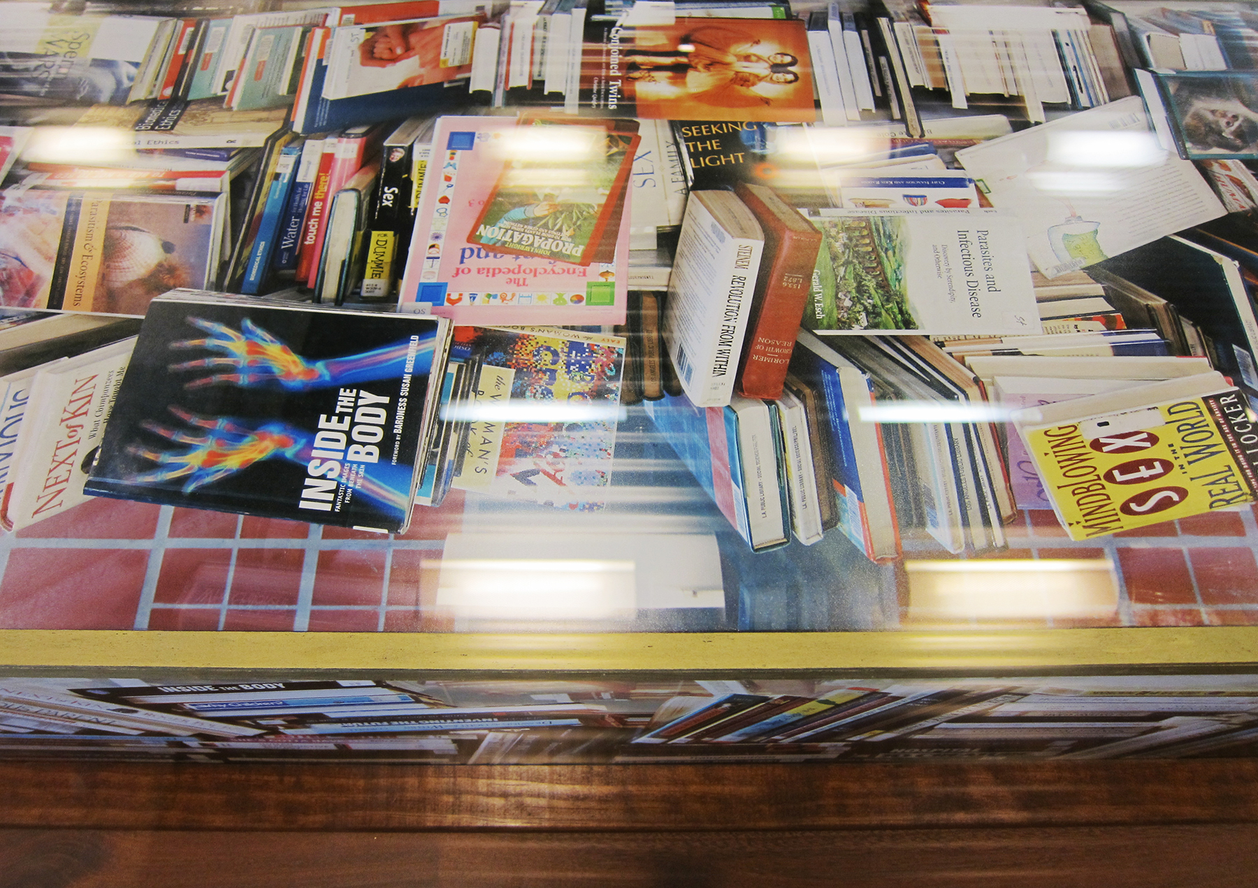   Paper Surrogate, Public Project ,  Los Angeles Central Library  (Detail), 2010 Wood, acrylic paint, and photographs      ———— 