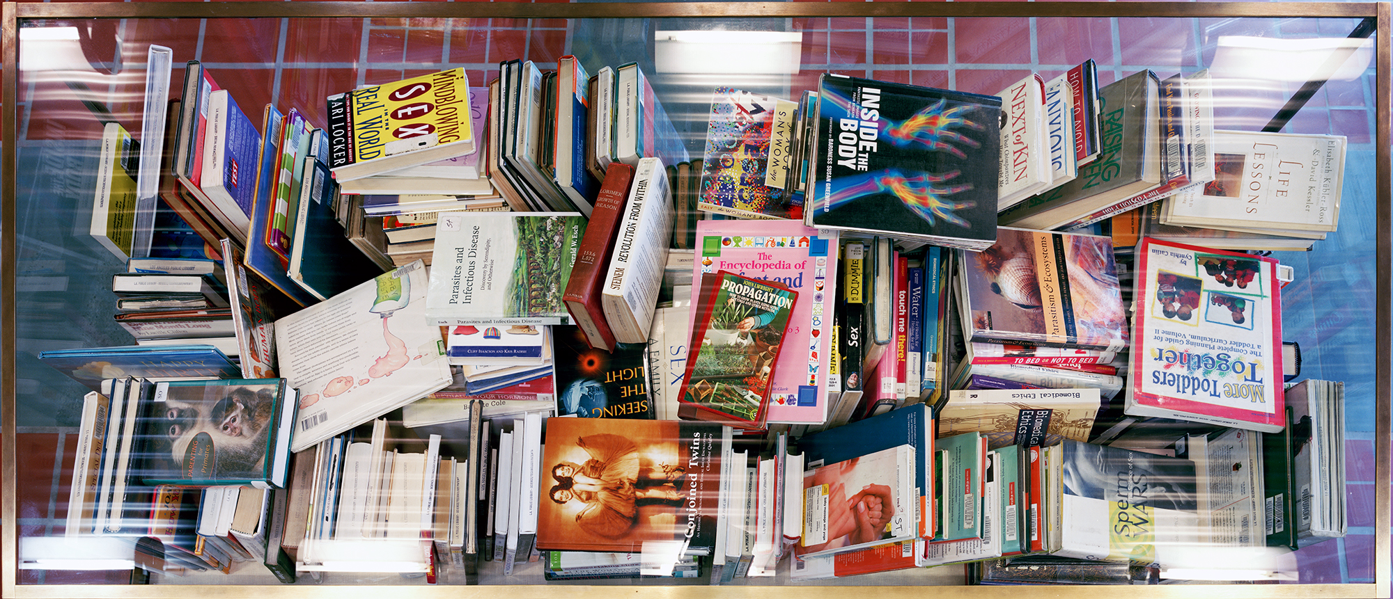   Paper Surrogate, Public Project ,  Los Angeles Central Library  (Top), 2010 Wood, acrylic paint, and photographs      ———— 