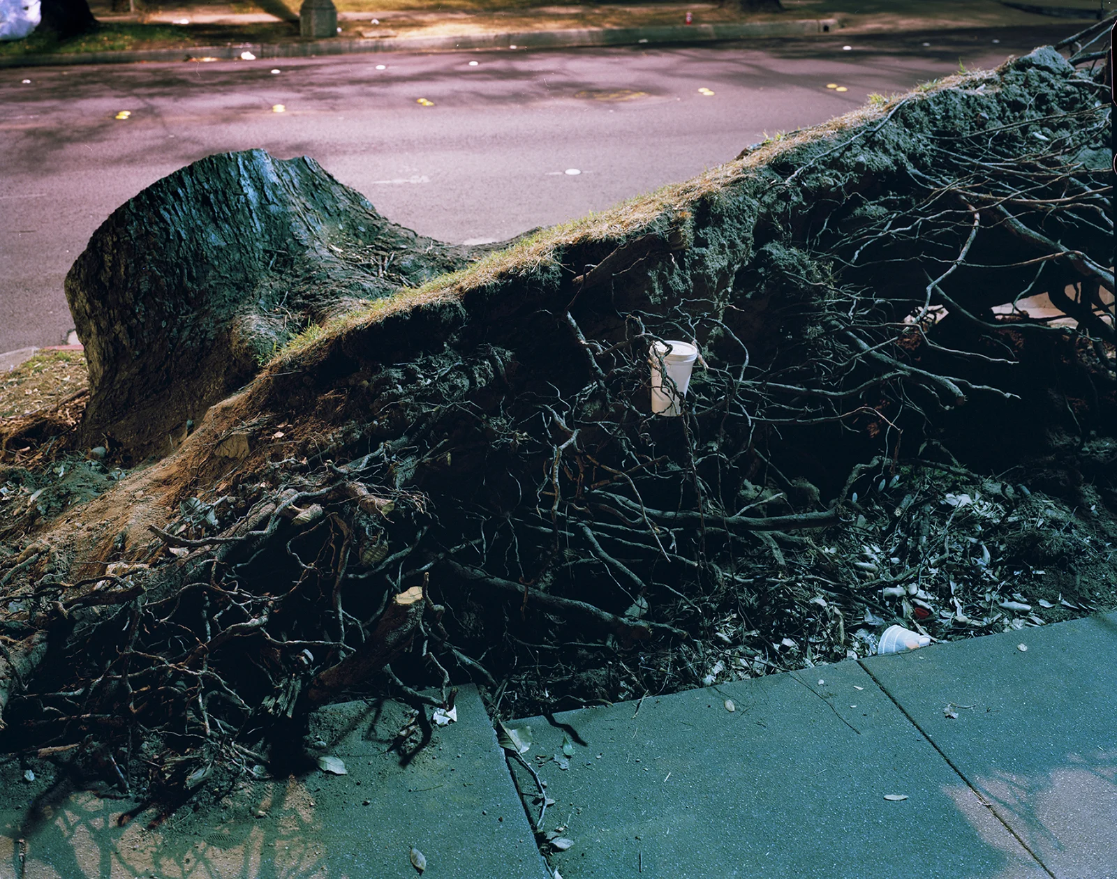 Allen Ave. and Foothill Blvd. , 2012 Archival pigment print ————