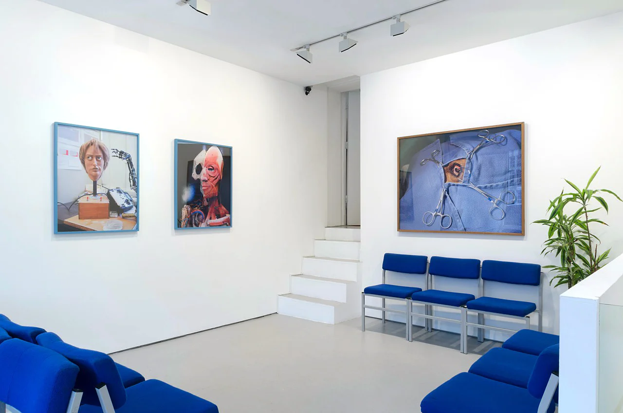 Installation View Body Work , Josh Lilley Gallery, London 2009 ————