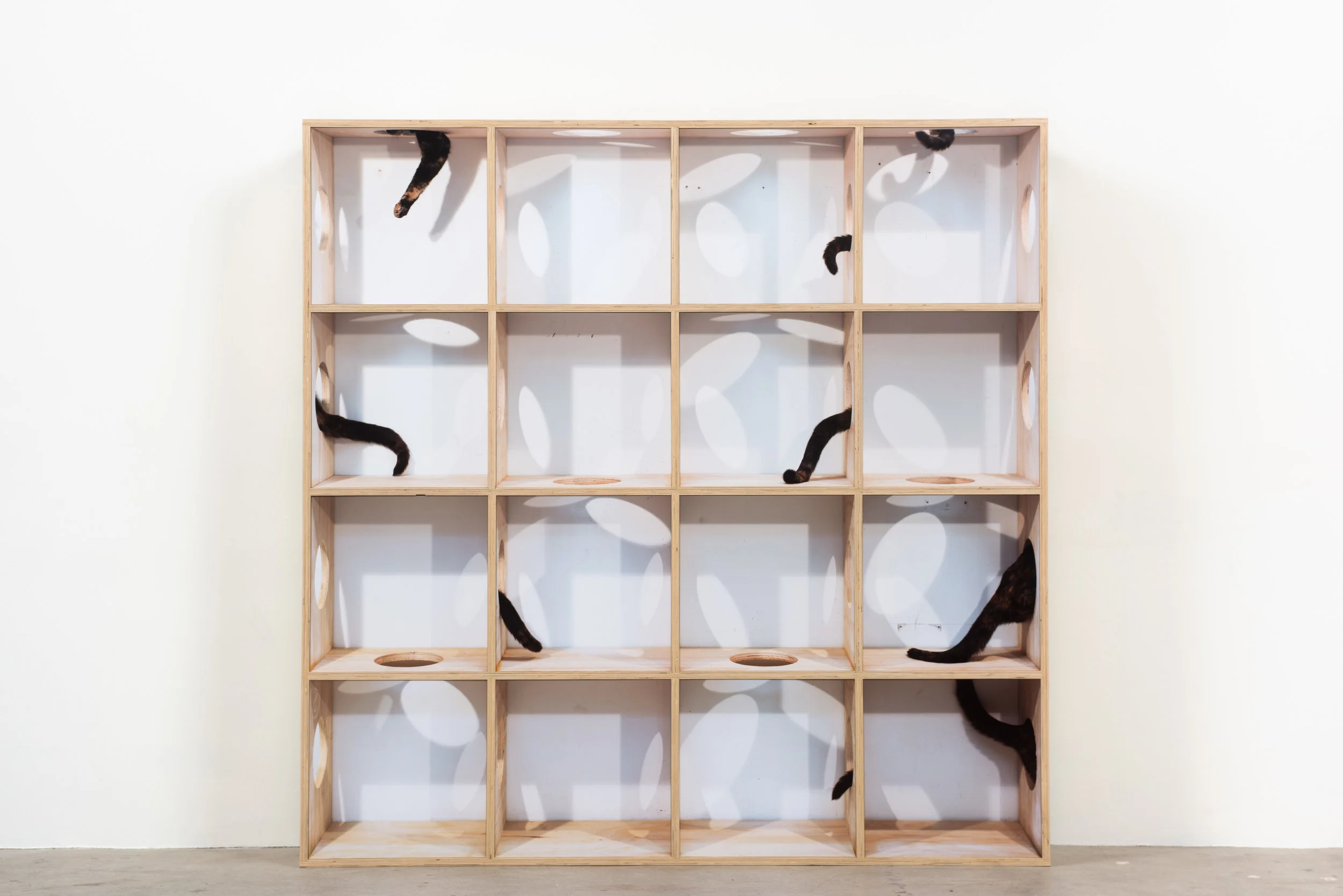 Disappearing Act , 2019 Archival pigment prints and wood 64 x 64 x 10 inches ————