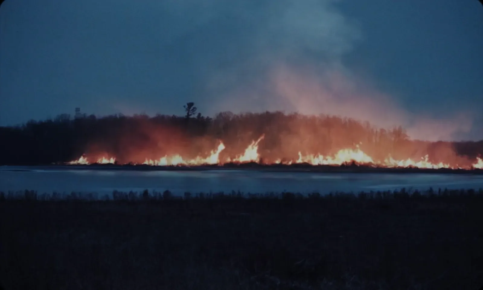 Copy of IMG_2635.webp