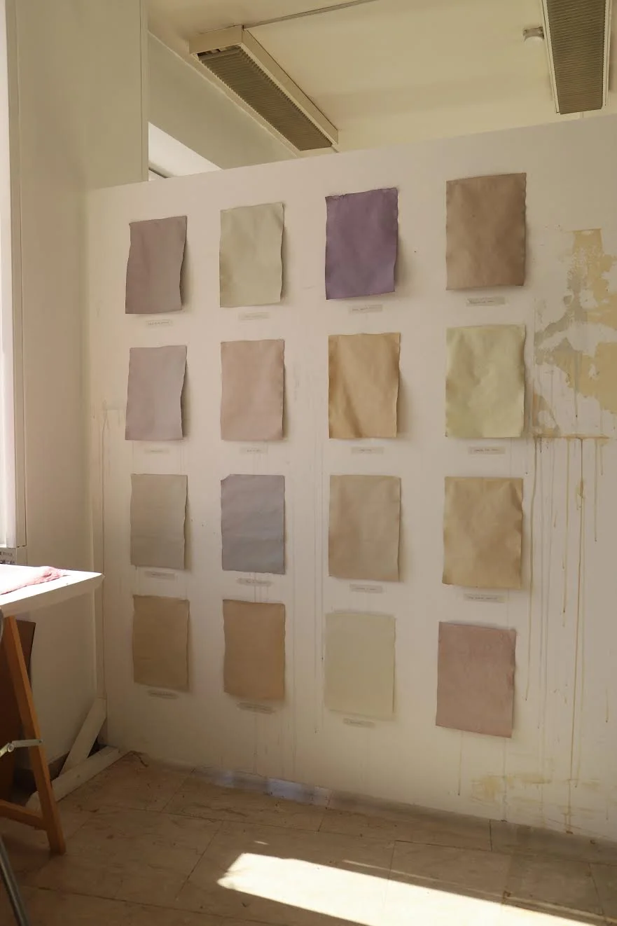 1_Natural Memory Dyes.jpeg