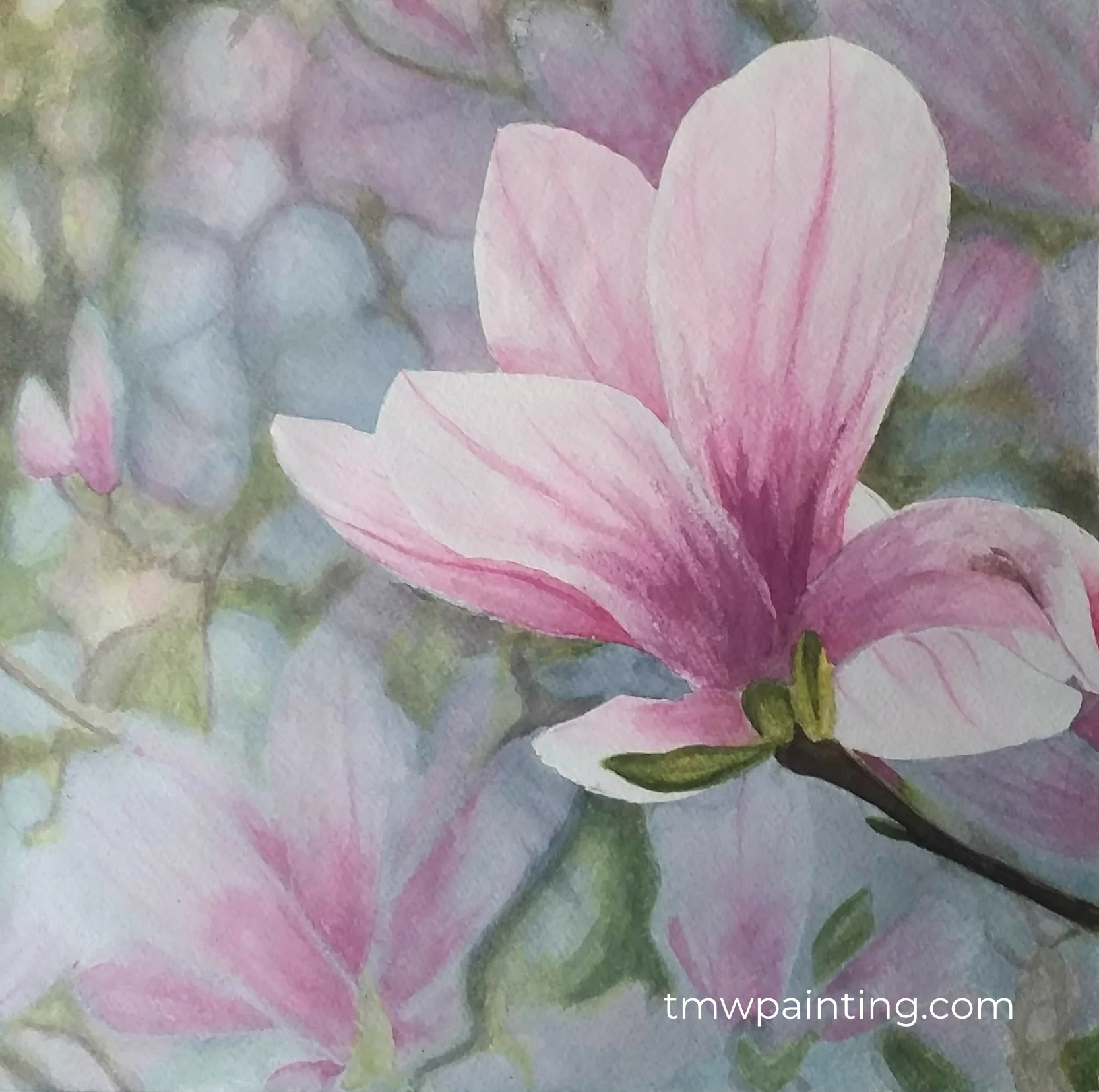 Pink Magnolia sig.jpg