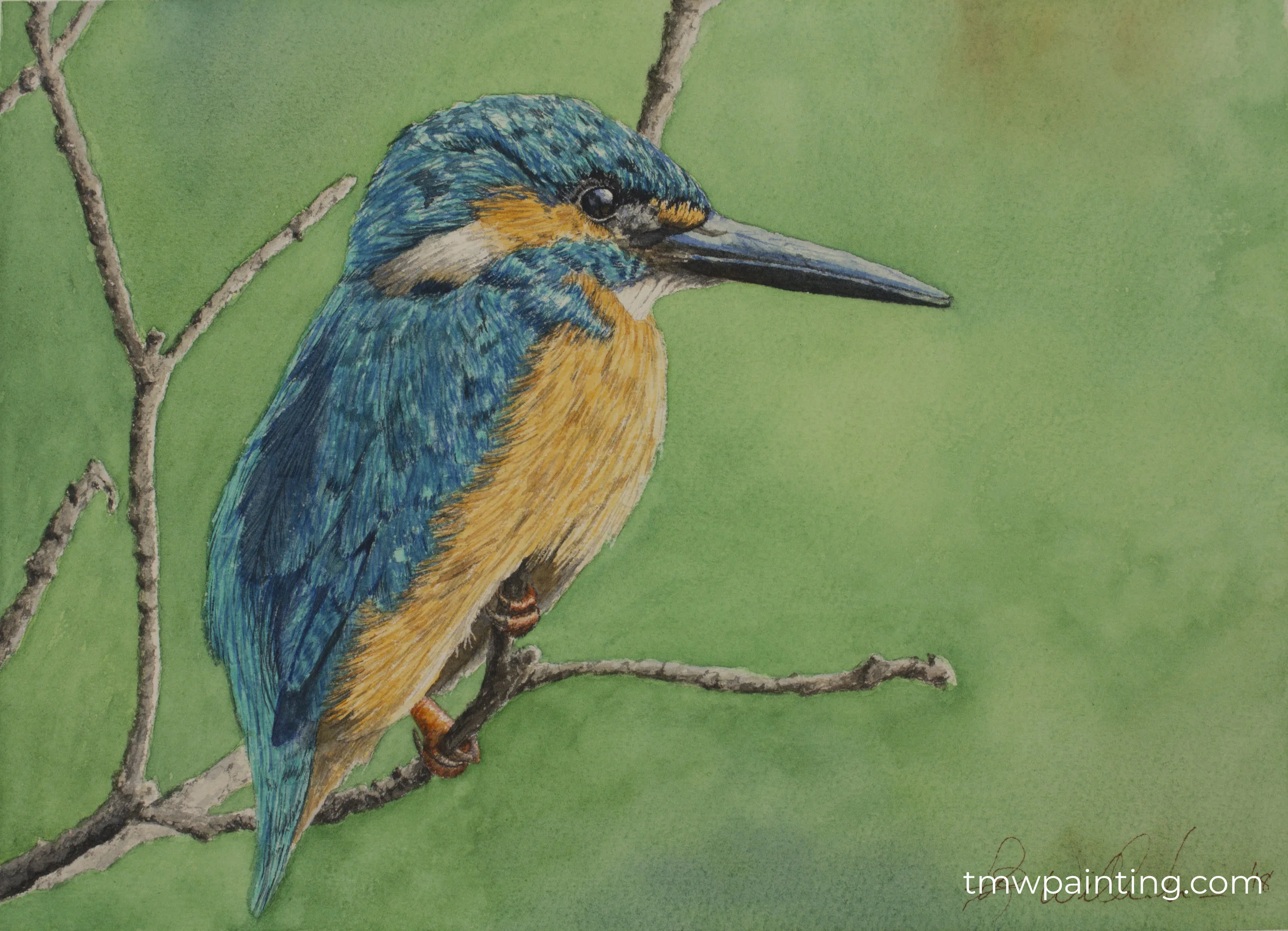 KingFisher sig.jpg