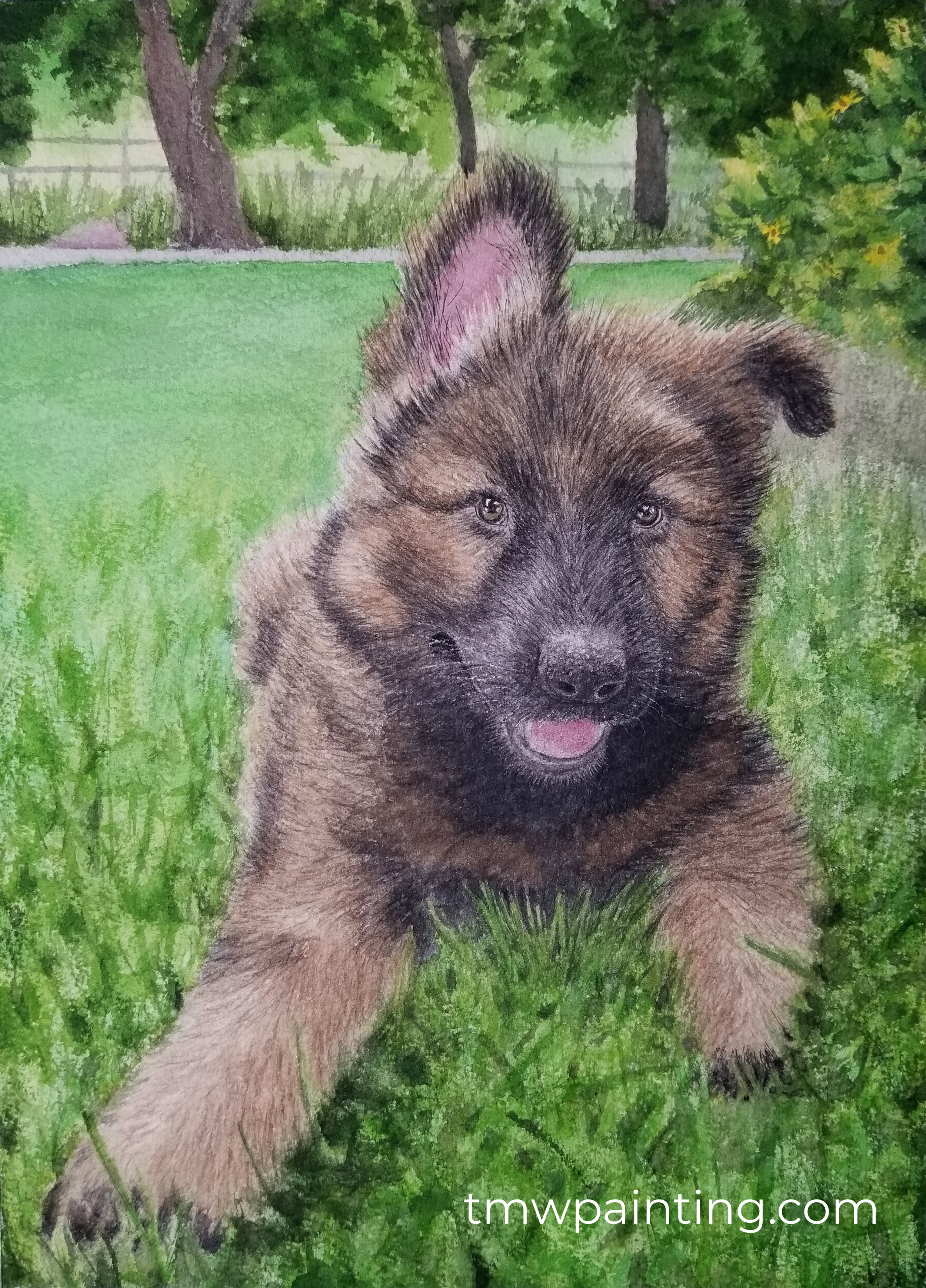 Koda sig.jpg