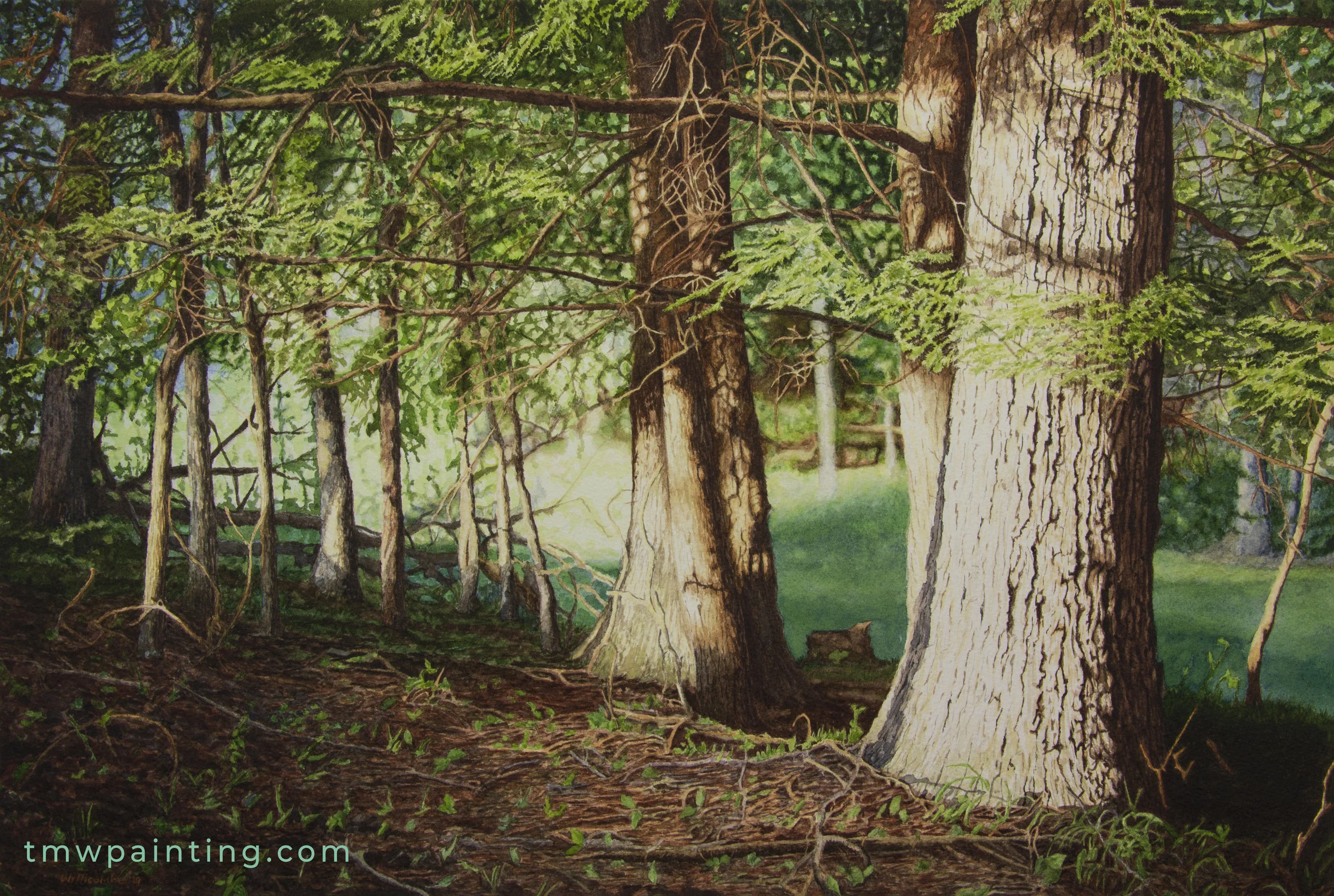 CadesCove-sig.jpg