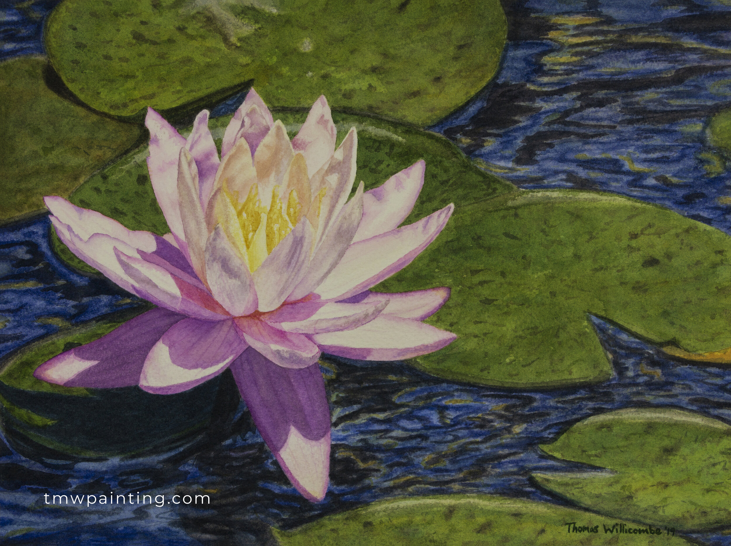 WaterLily-sig.jpg