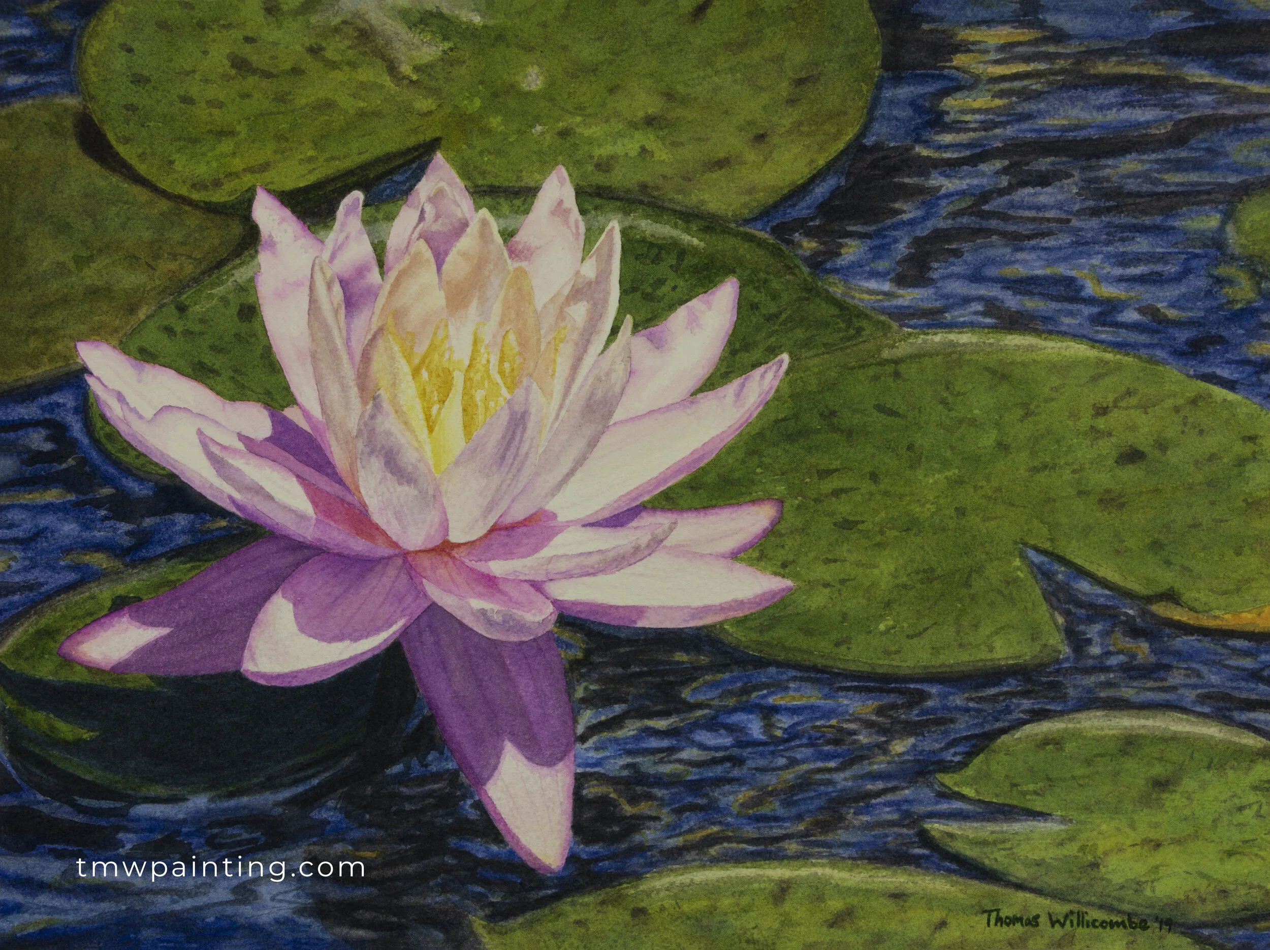WaterLily-sig.jpg