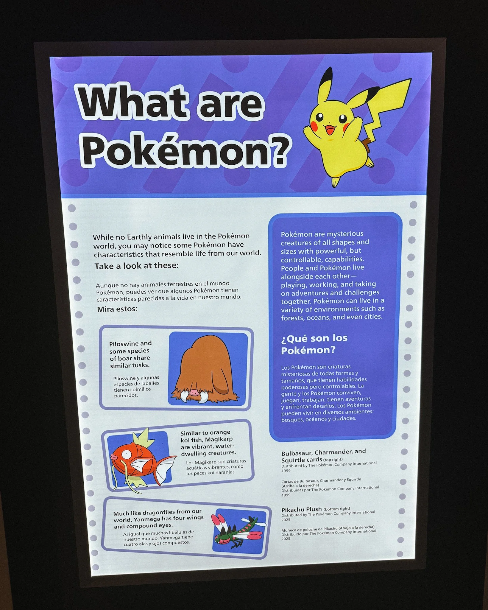 Visit the Chicago Field Museum and Pokemon Fossil Museum pop-up! See ticket prices, merch, promo cards, exhibits, and our honest review.