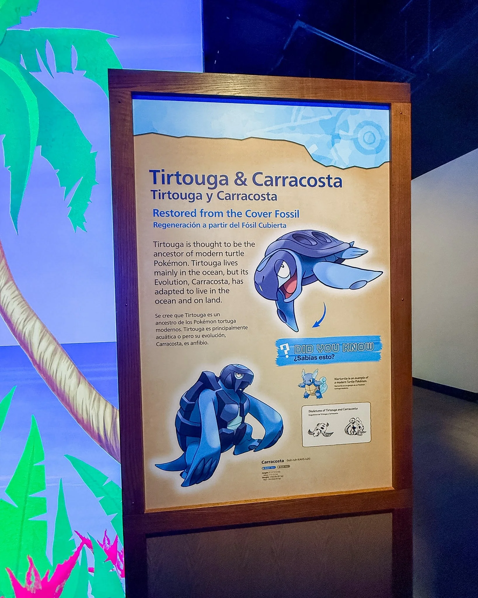 Visit the Chicago Field Museum and Pokemon Fossil Museum pop-up! See ticket prices, merch, promo cards, exhibits, and our honest review.