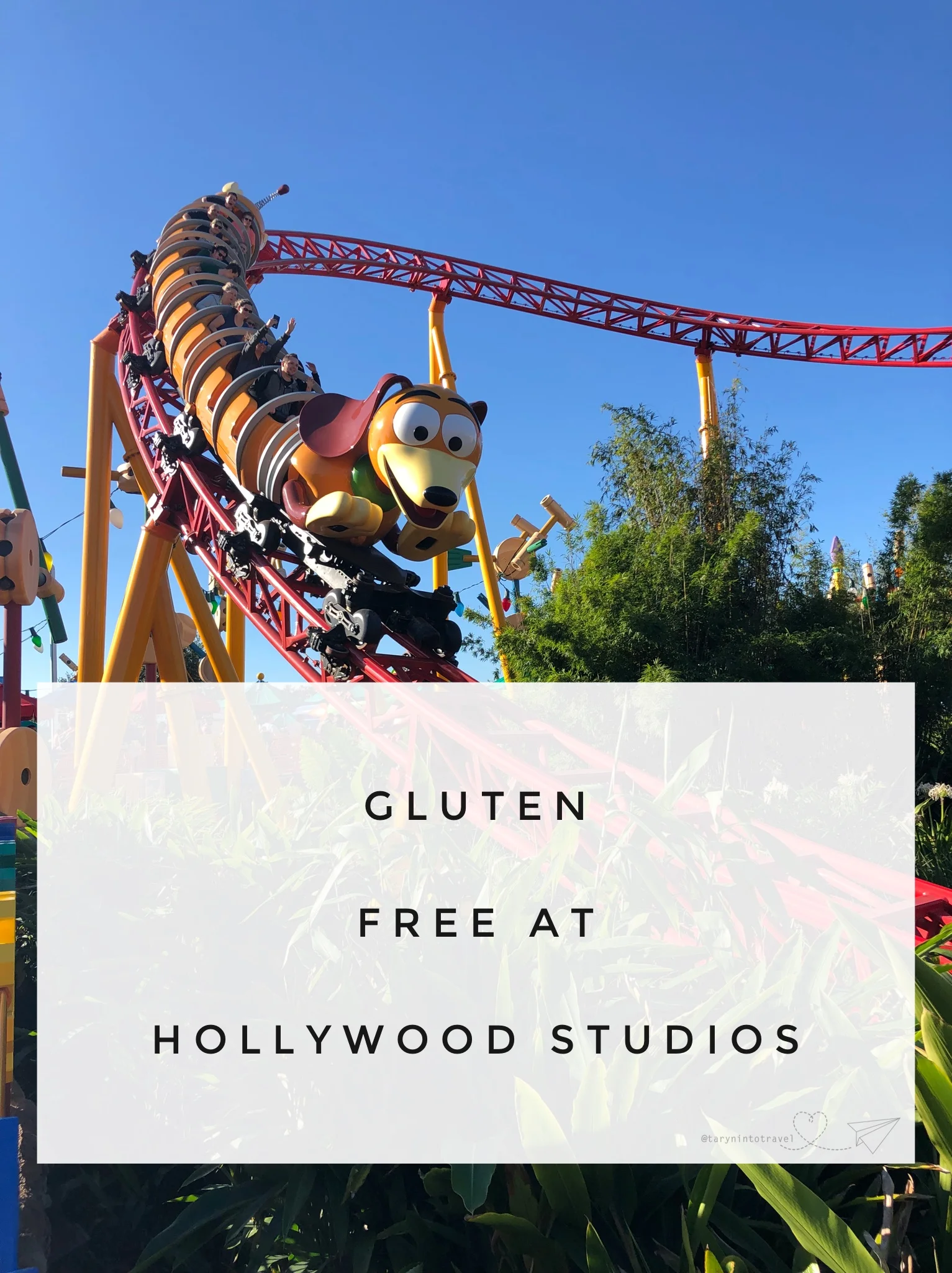 Gluten Free at Hollywood Studios