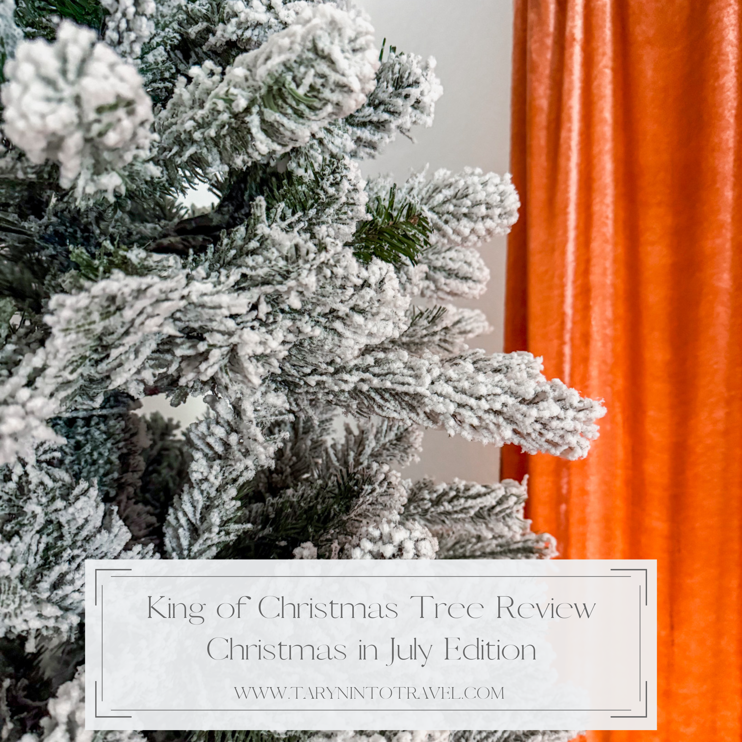 King of Christmas Tree Review (Christmas in July Edition)