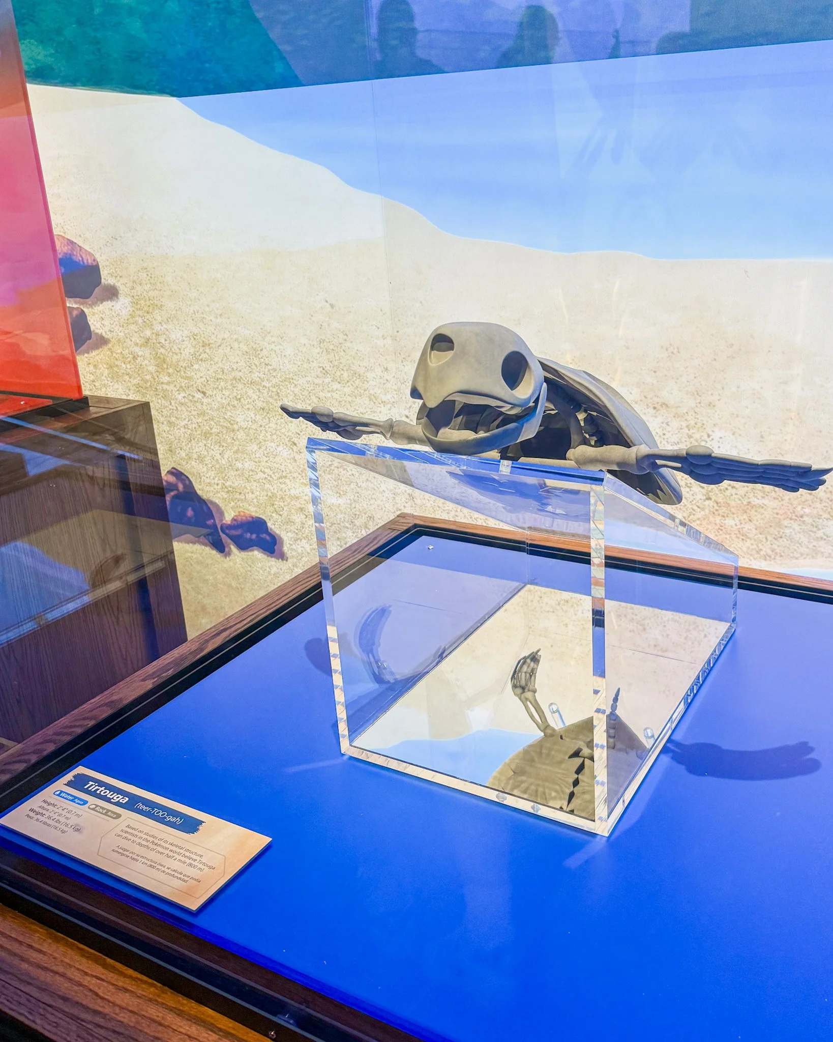 Visit the Chicago Field Museum and Pokemon Fossil Museum pop-up! See ticket prices, merch, promo cards, exhibits, and our honest review.