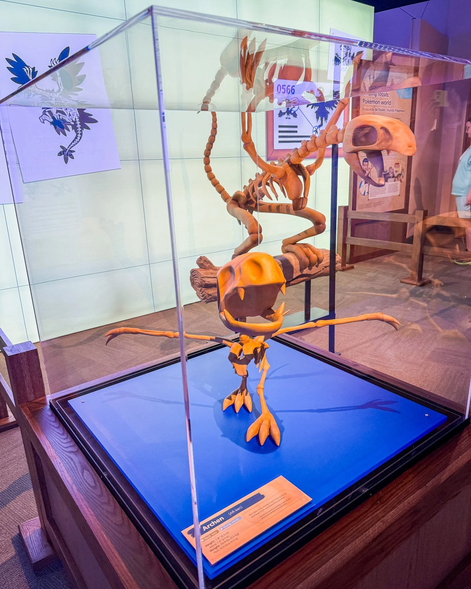 Visit the Chicago Field Museum and Pokemon Fossil Museum pop-up! See ticket prices, merch, promo cards, exhibits, and our honest review.
