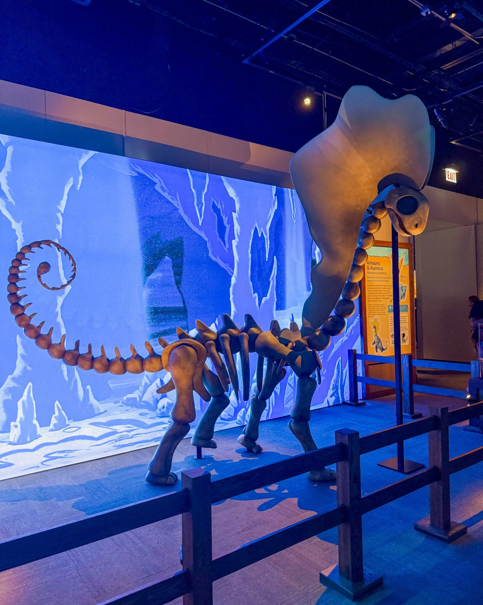 Visit the Chicago Field Museum and Pokemon Fossil Museum pop-up! See ticket prices, merch, promo cards, exhibits, and our honest review.