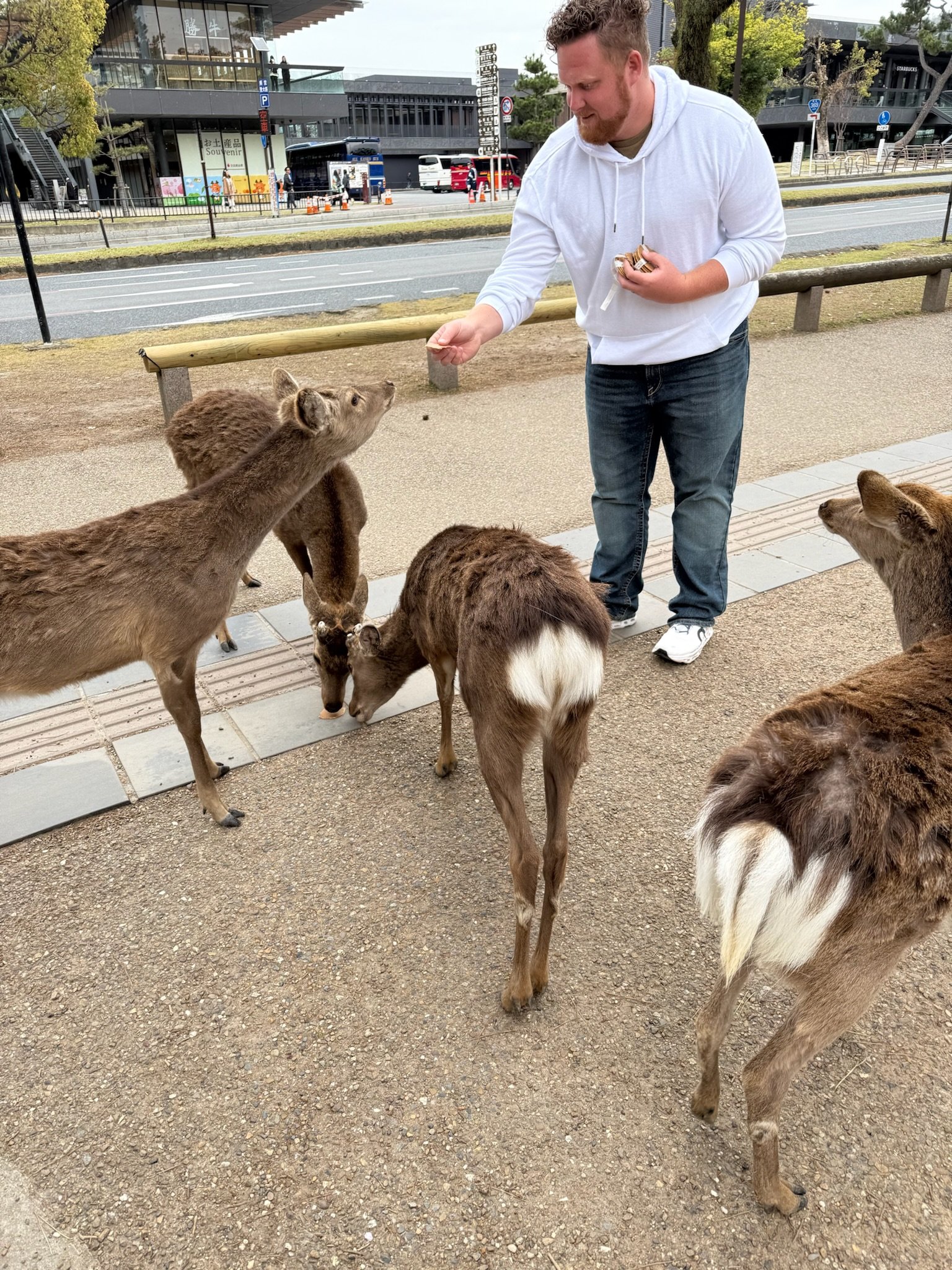 10 Destinations on our Travel Bucket List for 2026 | Japan | Germany | Amsterdam | Yellowstone National Park | Iowa | Chicago | Los Angeles | Pokemon Go Tour | Disneyland | London