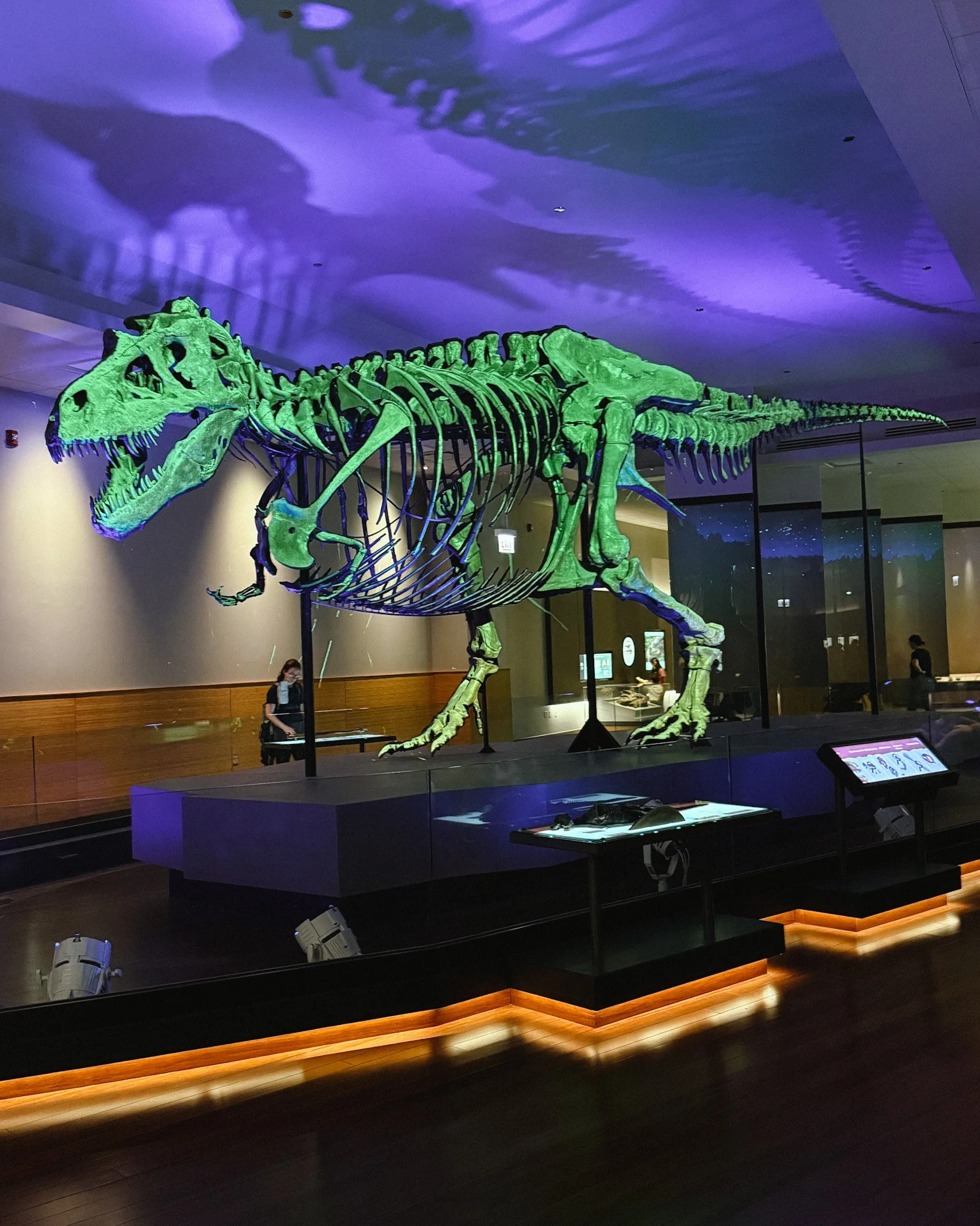 Visit the Chicago Field Museum and Pokemon Fossil Museum pop-up! See ticket prices, merch, promo cards, exhibits, and our honest review.