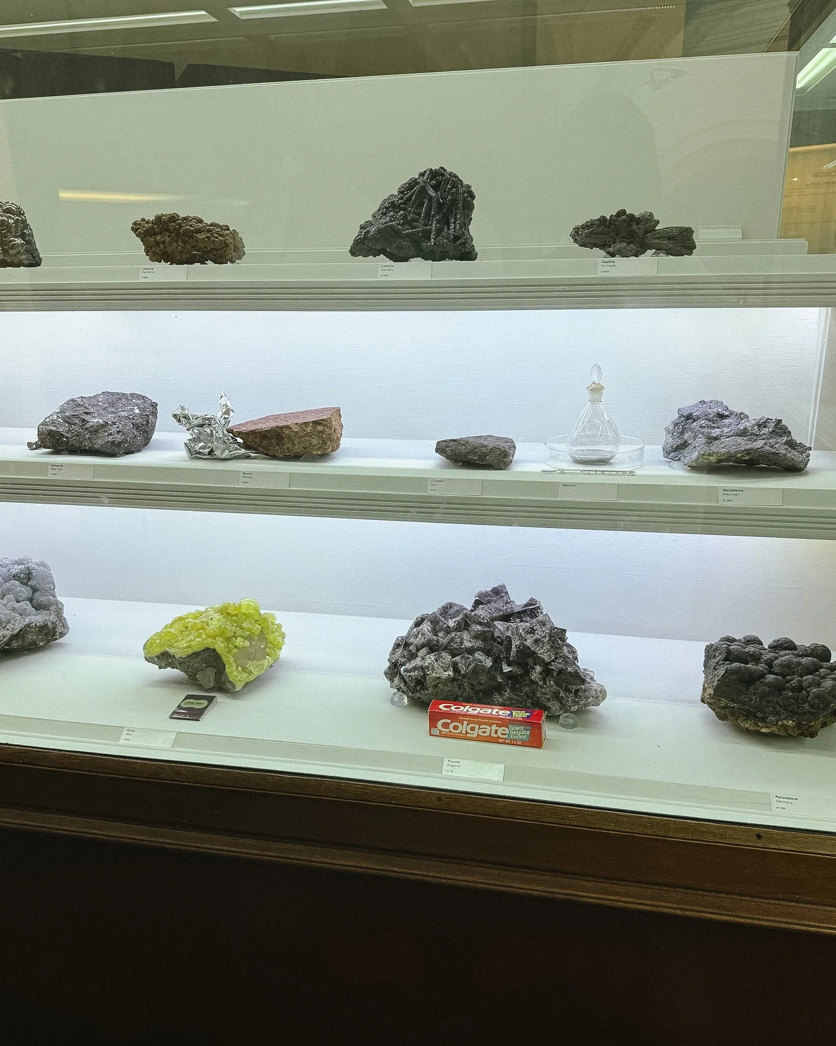 Visit the Chicago Field Museum and Pokemon Fossil Museum pop-up! See ticket prices, merch, promo cards, exhibits, and our honest review.