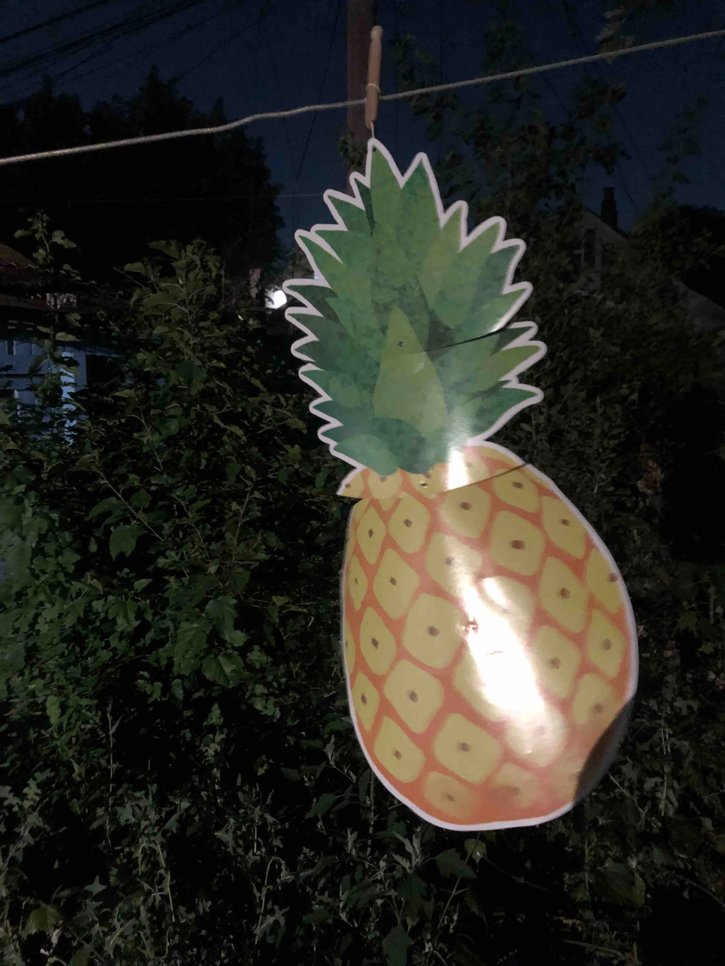 IMG_6903 Kopie 2.jpeg