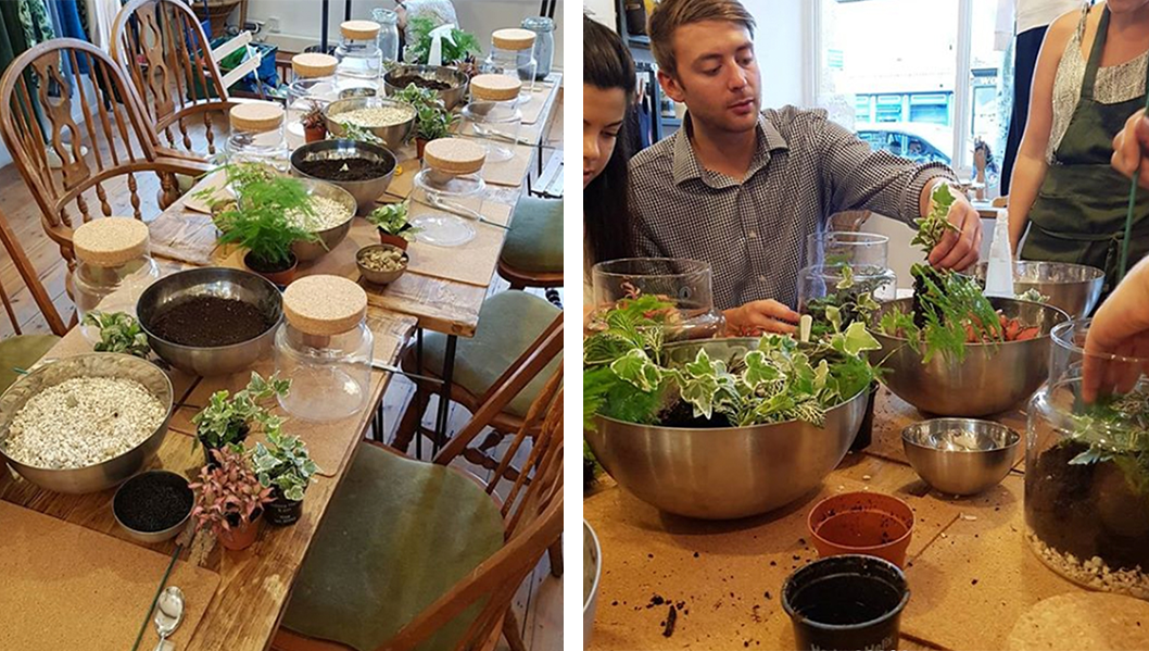 Terrarium workshop.png