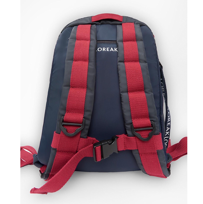 Bag2.png