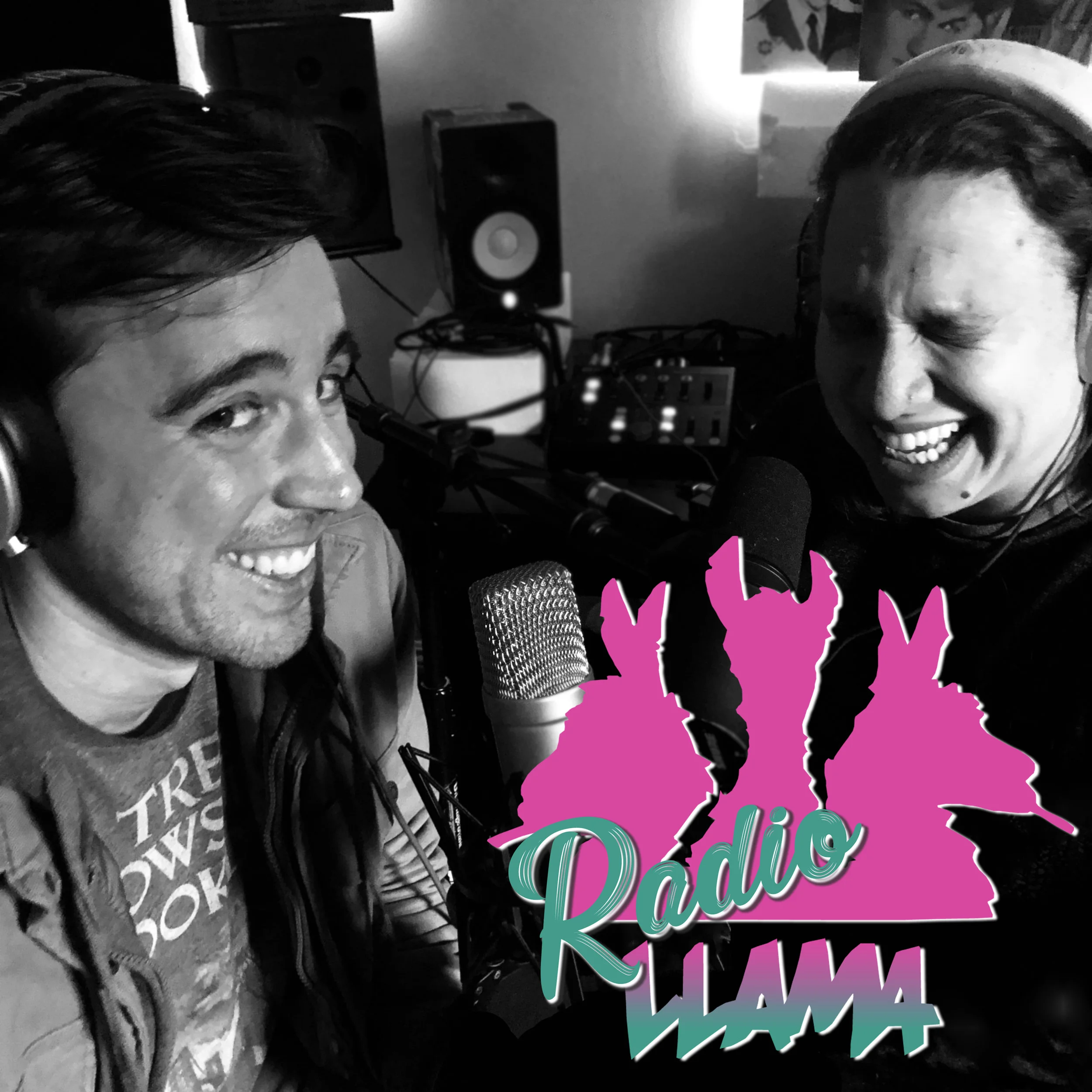 The New Llamabeats Podcast: RadioLlama