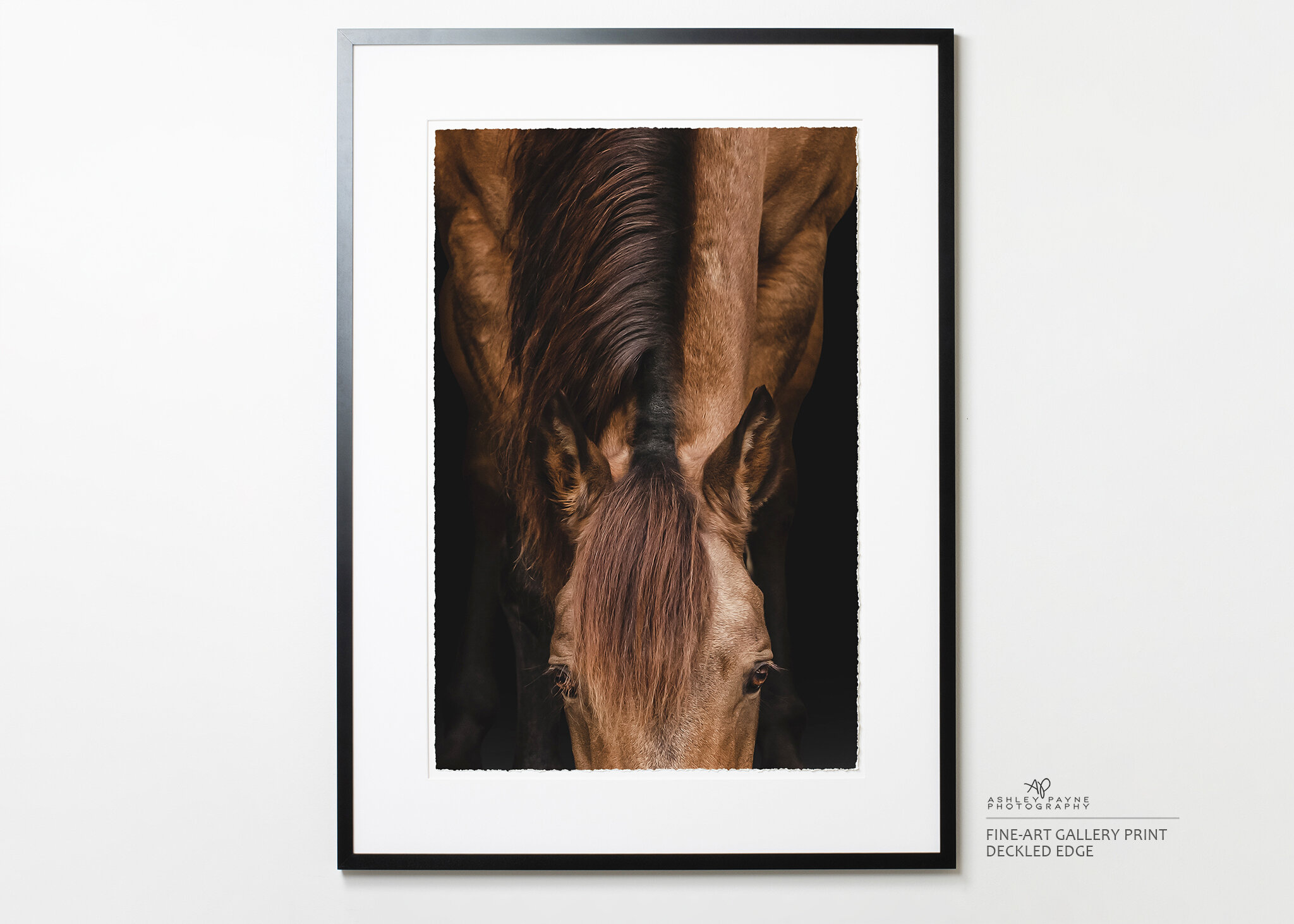 Black Gallery Frame Deckled Print - Ashley Payne Photography.jpg