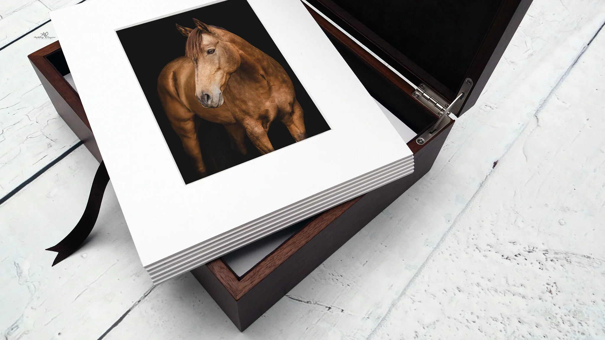 Wooden Portrait Box 1 - Ashley Payne Photography.jpg