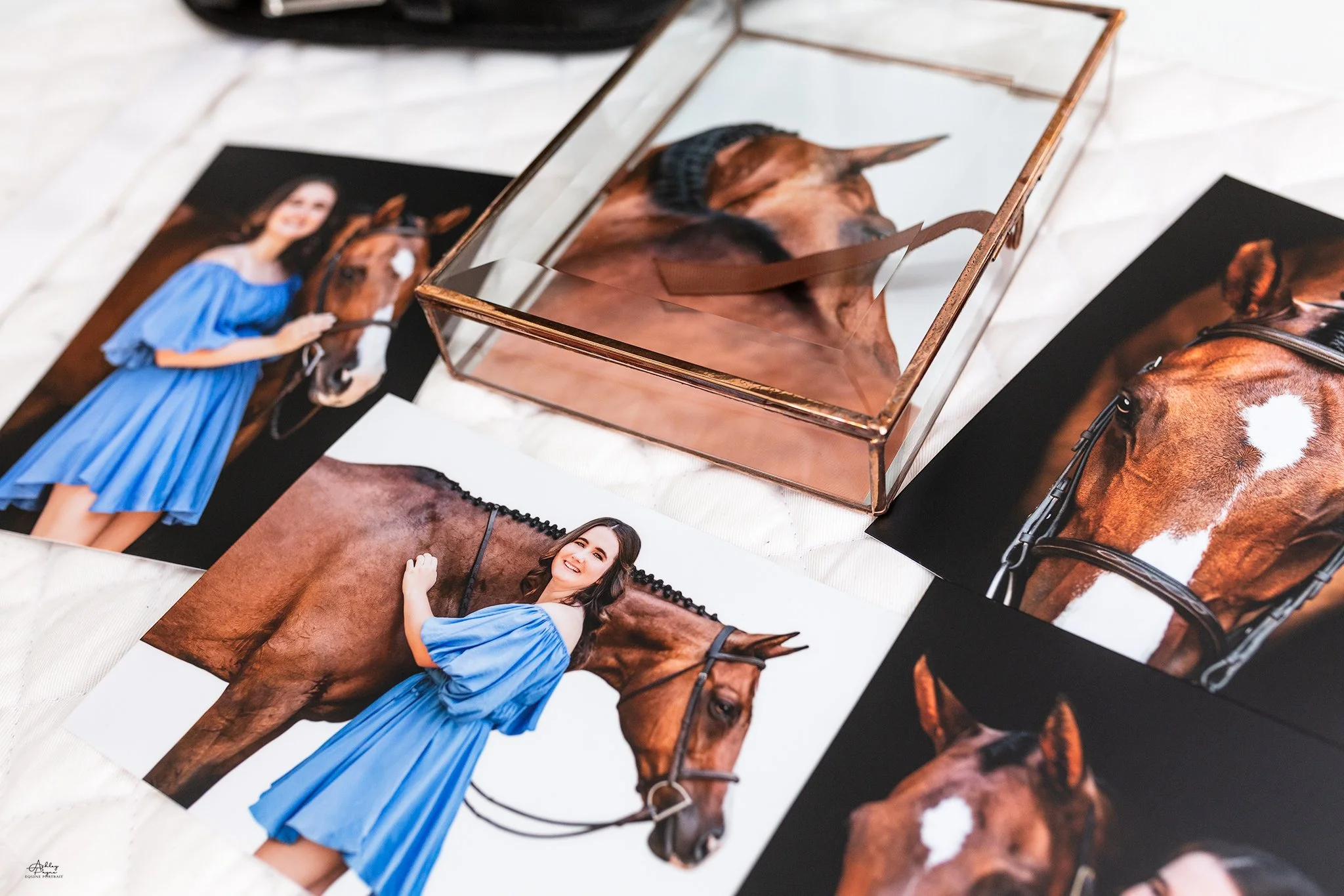 APP_1079- 5x7 Equestrian Keepsake Box.jpg