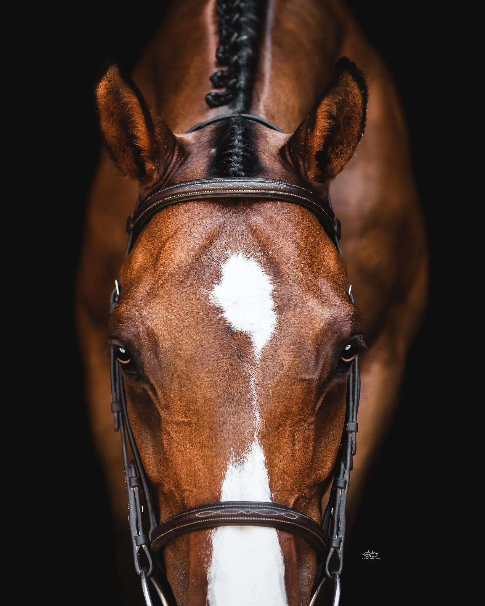 WEB FILE - Ashley Payne Photography - 0070.jpg