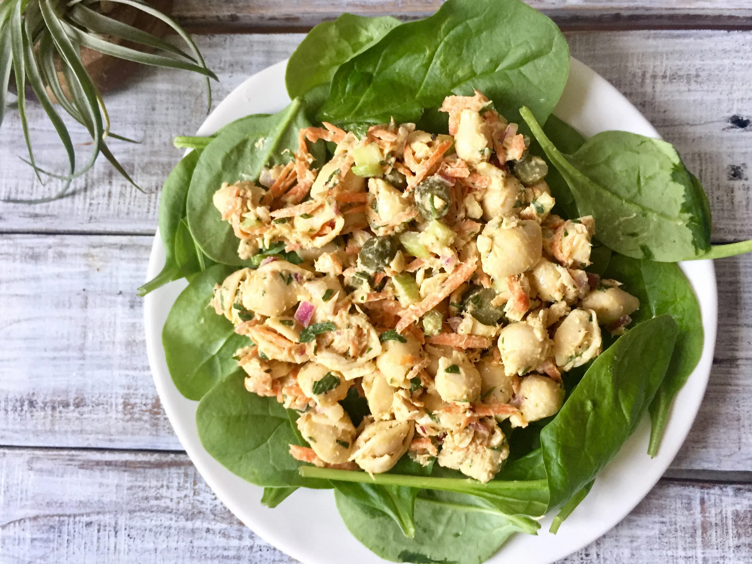 blog-tuna-salad-finished-v3.jpg