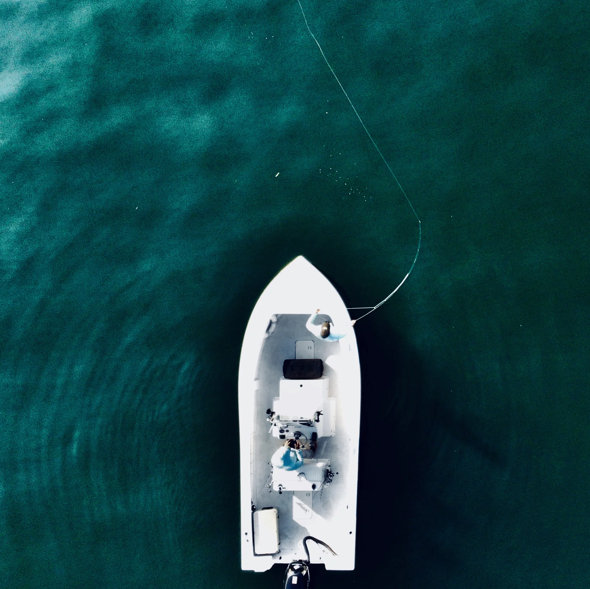 Florida Road Trip with Rifles to Rods