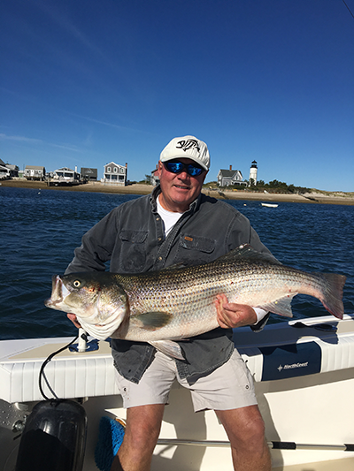 Wingman Sportfishing / Pro-Team