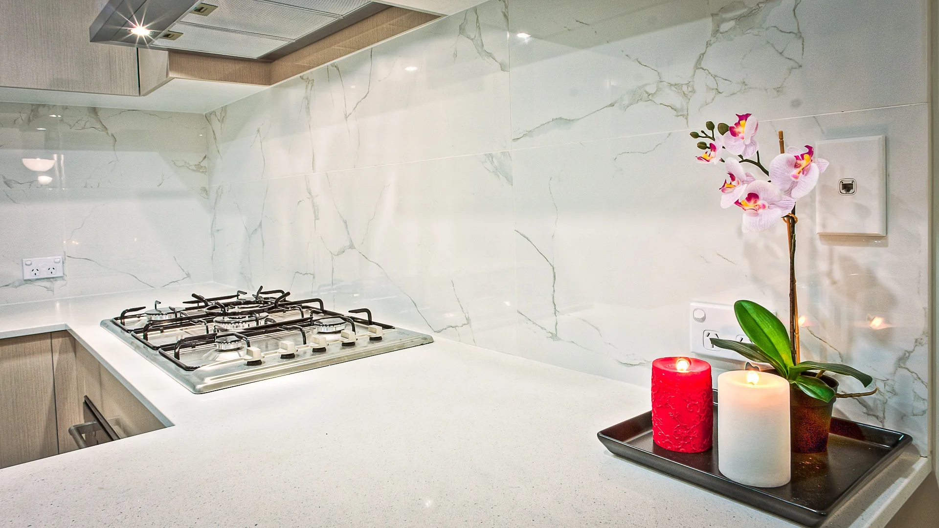 Kitchen Orchid.jpeg