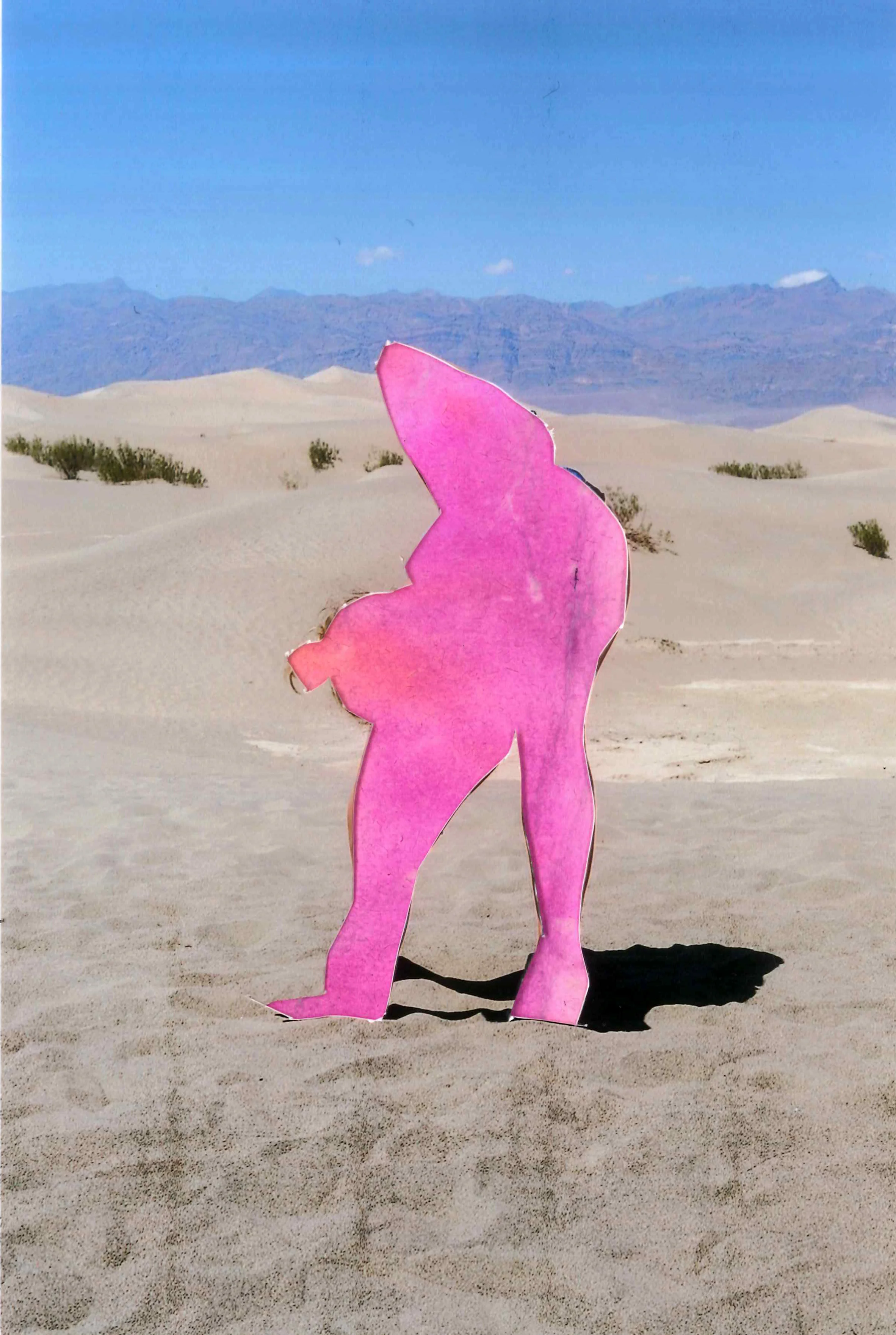 desertmonster1.jpg