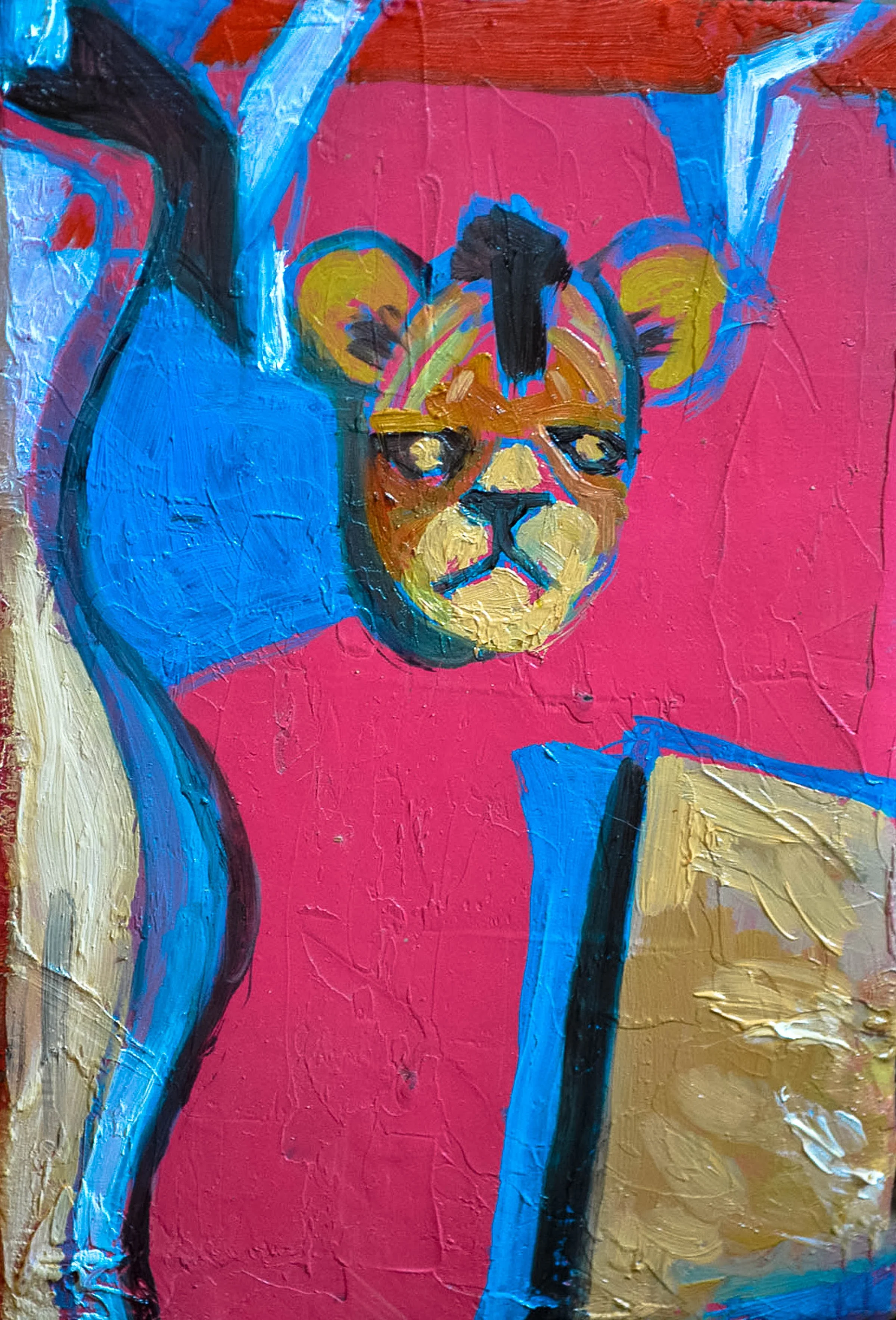 P7.JPG
