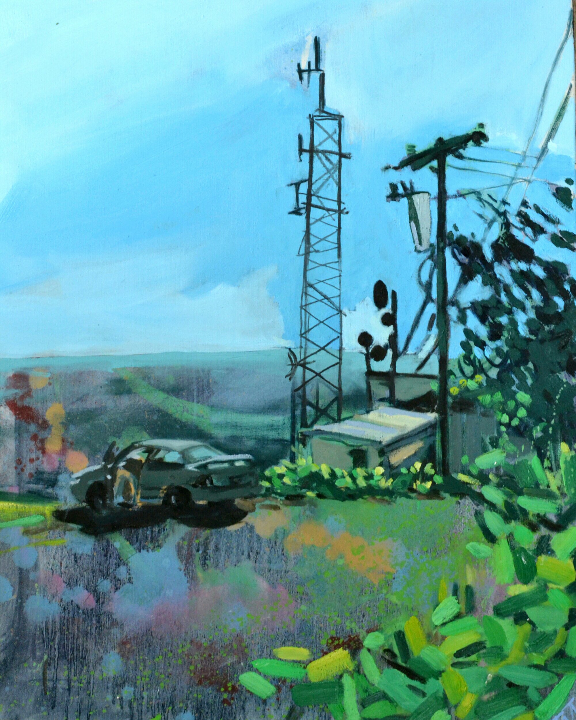 looking out2; paris mountain.jpg