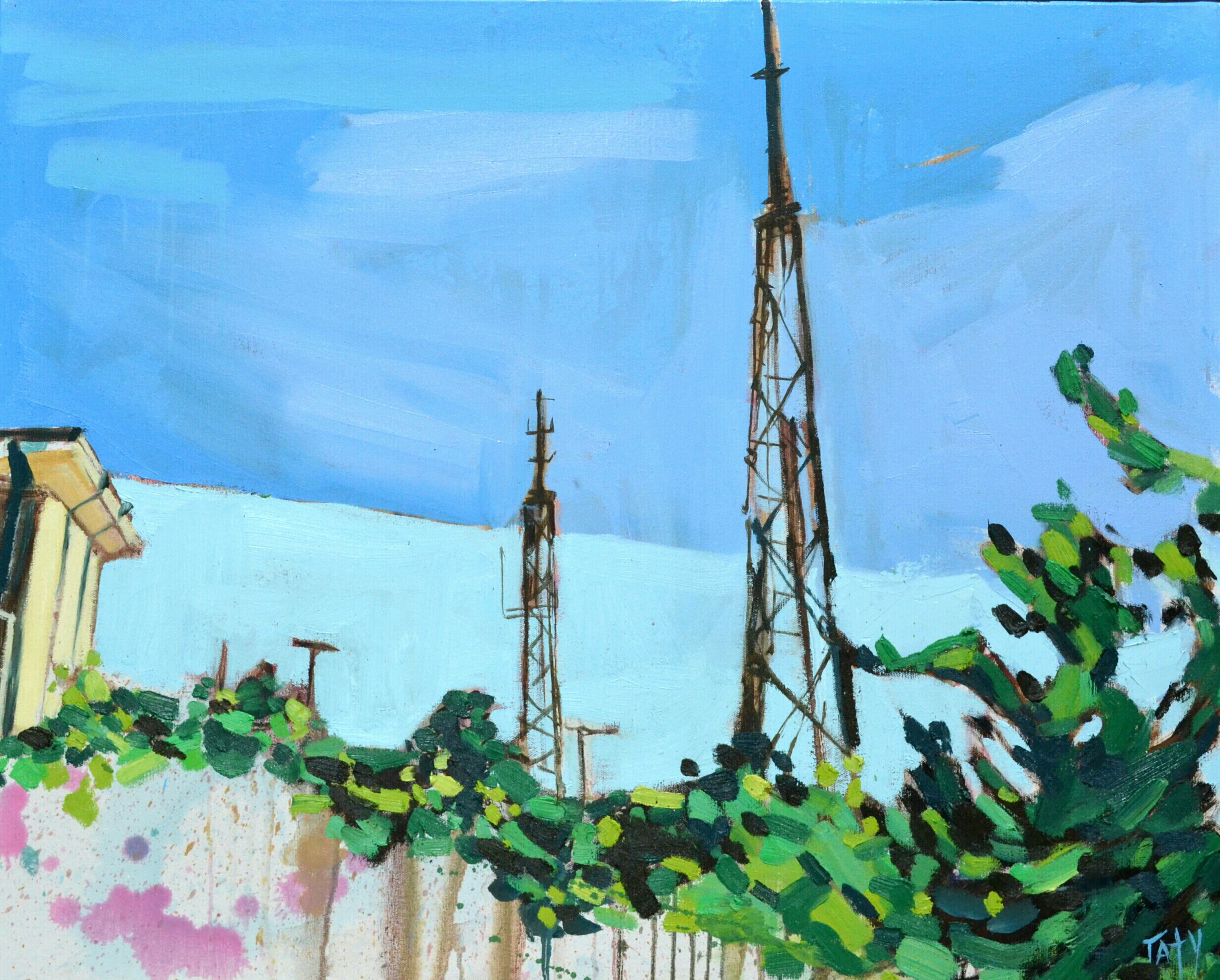 looking out; paris mountain.jpg