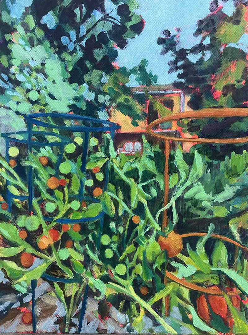 Tomato Plant.jpg