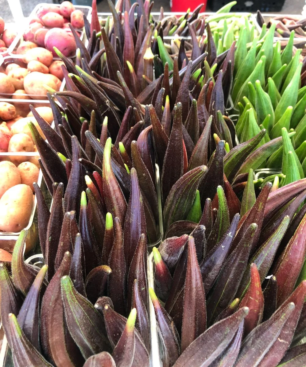2021-08-15 Market-17.jpg